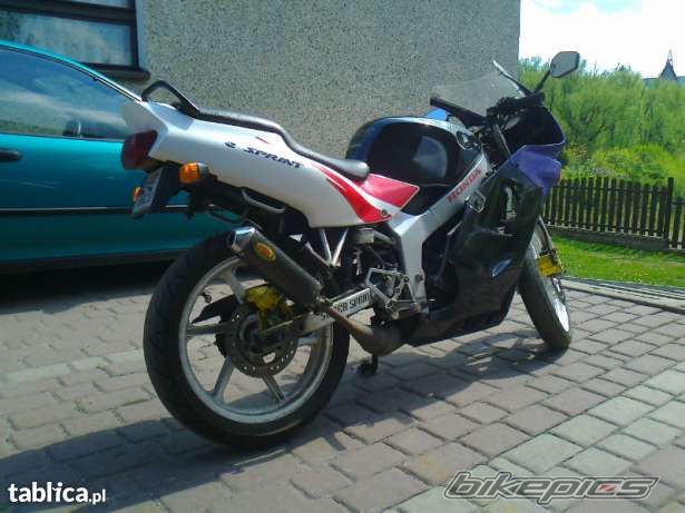 1994 HONDA NS1 80 | Picture 2559939 motorcycle photo