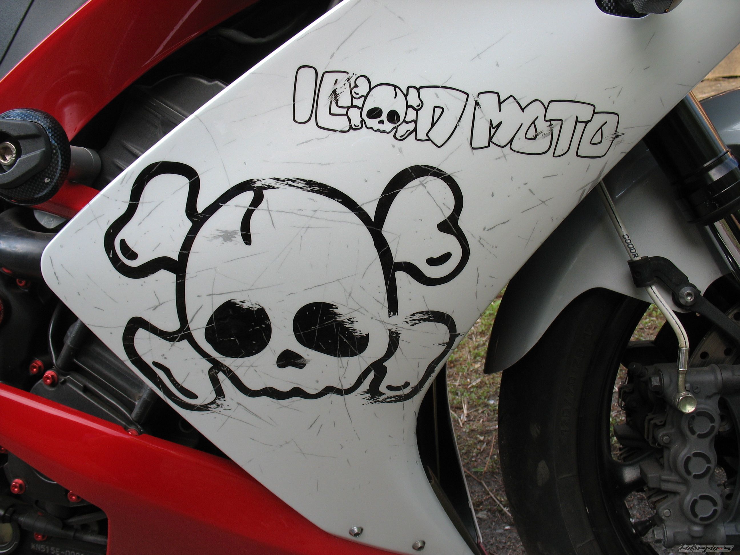 2007 YAMAHA YZF R1 | Picture 2560174 motorcycle photo