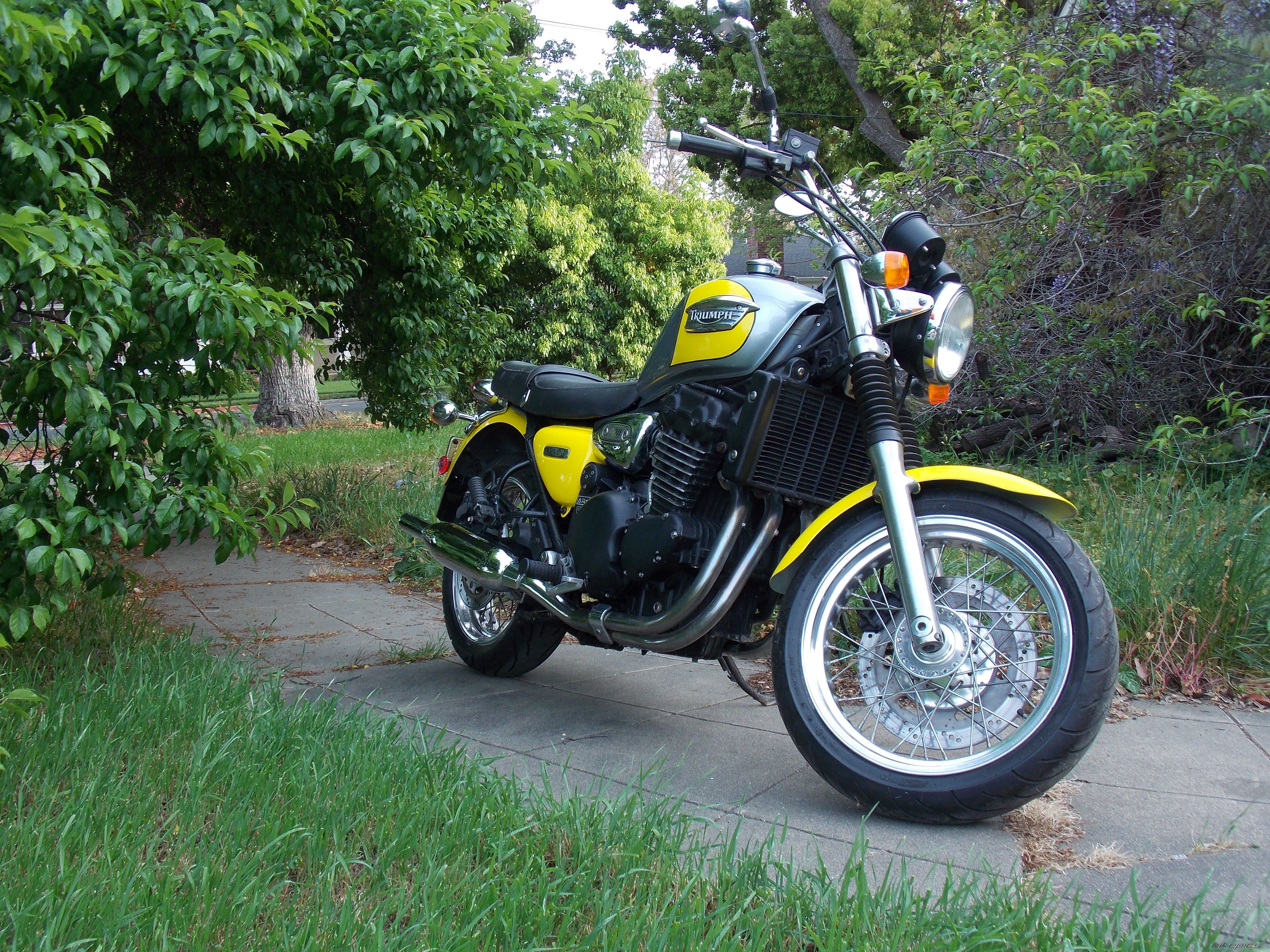 1999 TRIUMPH LEGEND TT | Picture 2560821 motorcycle photo