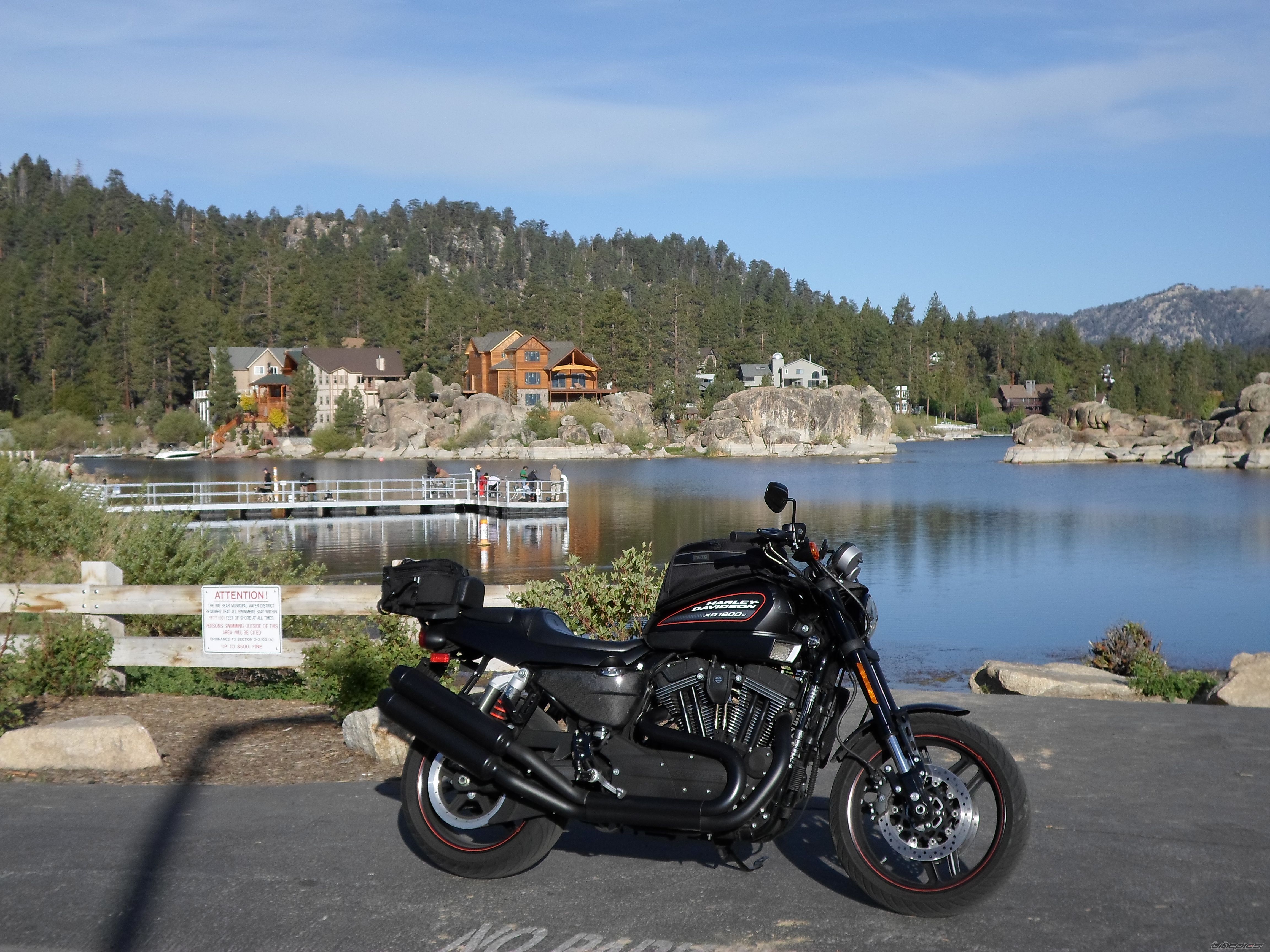 2011 HARLEY DAVIDSON XR 1200 | Picture 2561672 motorcycle photo