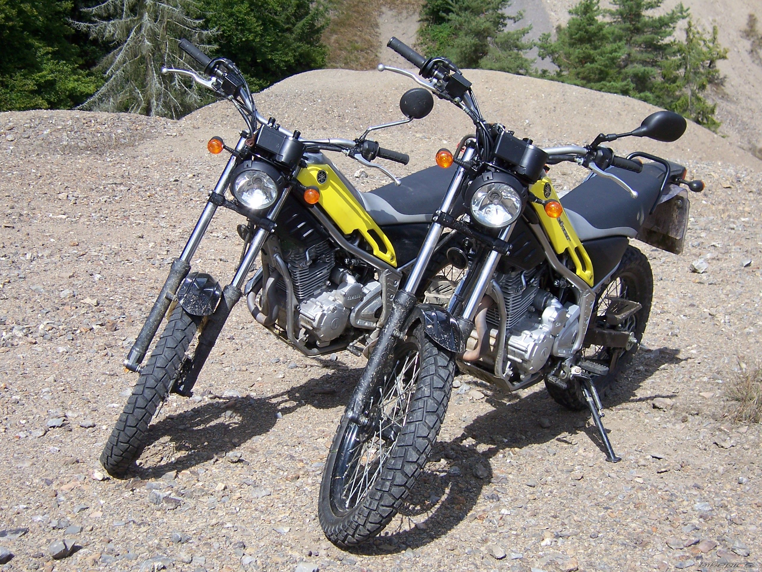 2006 YAMAHA XG 250 TRICKER | Picture 2562454 motorcycle photo