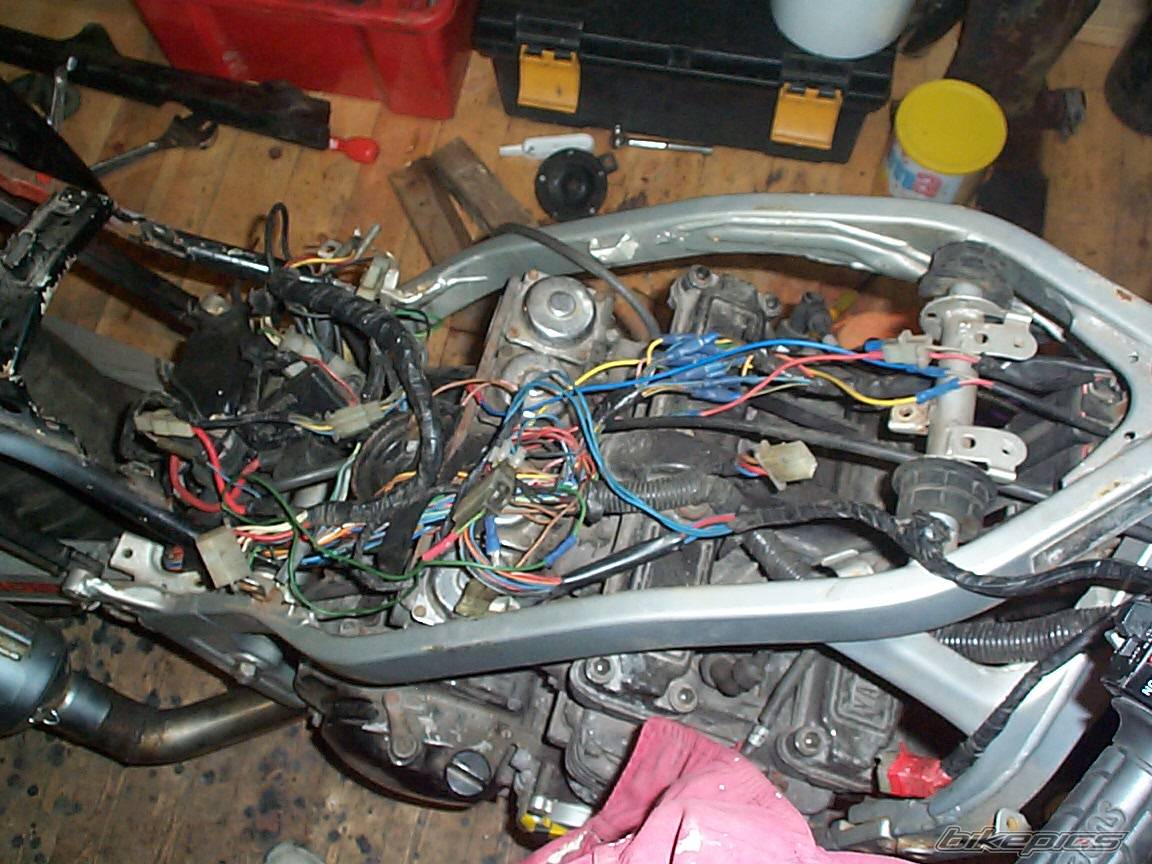 1988 YAMAHA FZ 600 | Picture 256251 motorcycle photo