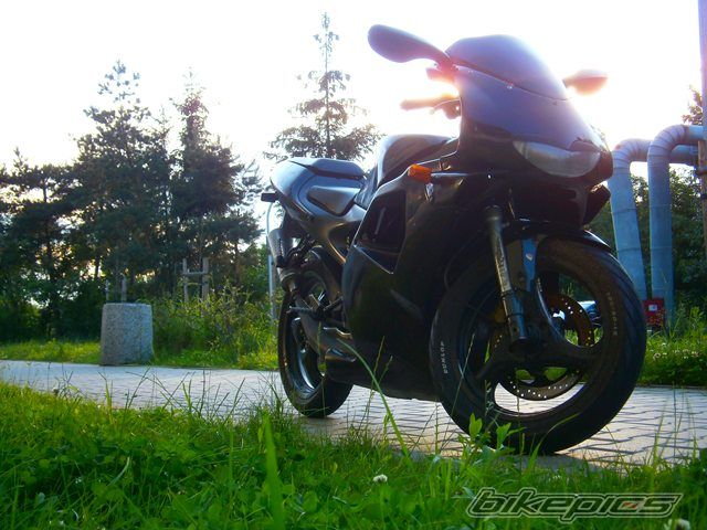 1995 APRILIA RS 80 | Picture 2563718 motorcycle photo