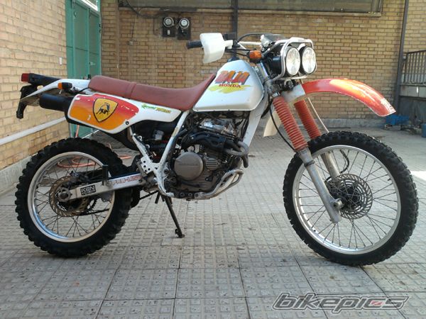 1996 HONDA XLR 250 BAJA | Picture 2563761 motorcycle photo