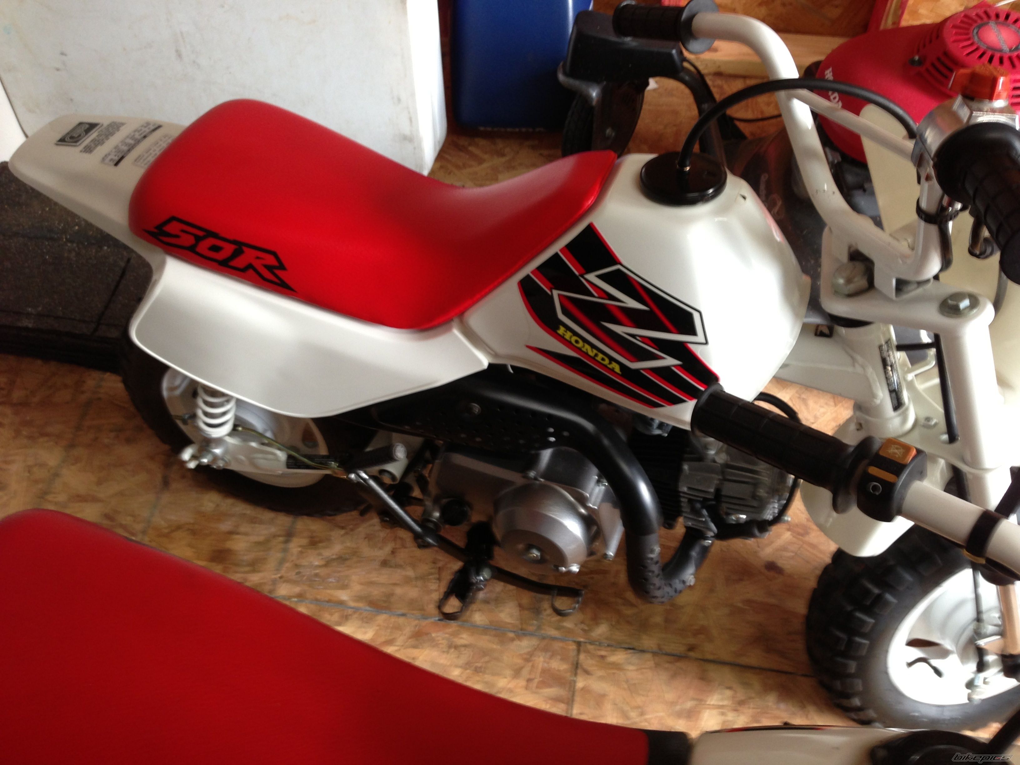 1999 HONDA Z 50 | Picture 2564276 motorcycle photo