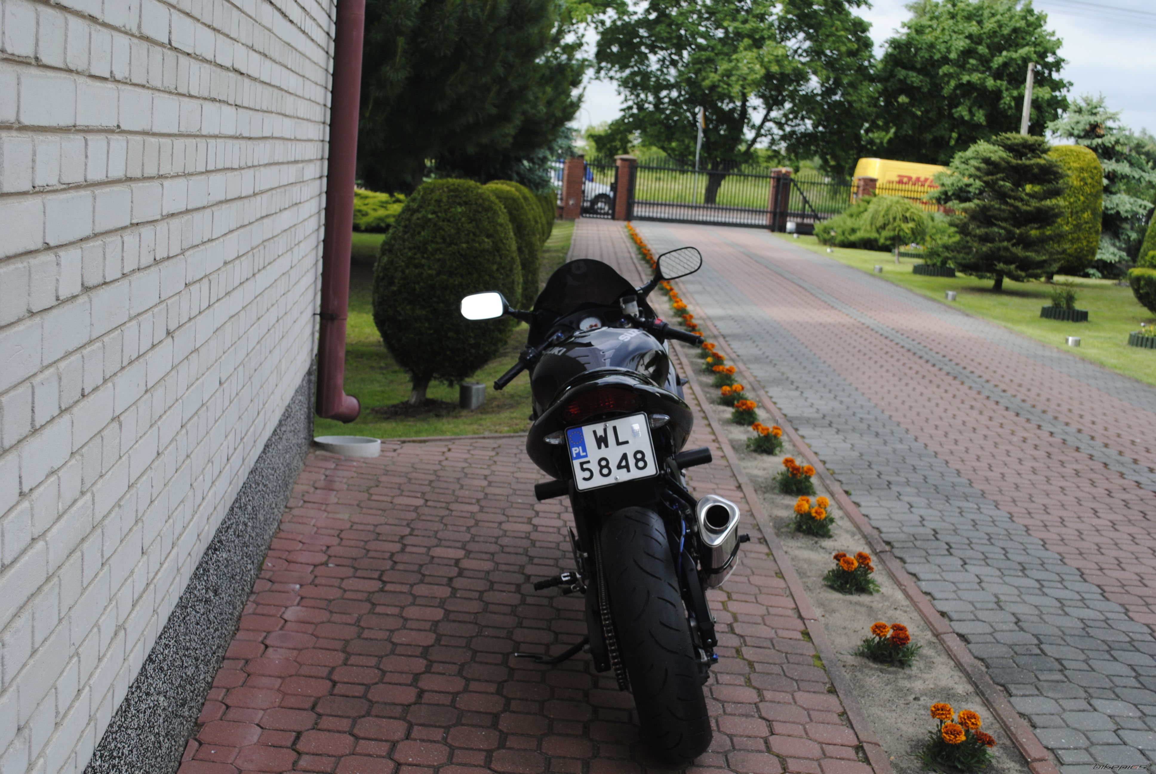 2000 SUZUKI SV 650S | Picture 2565701 motorcycle photo