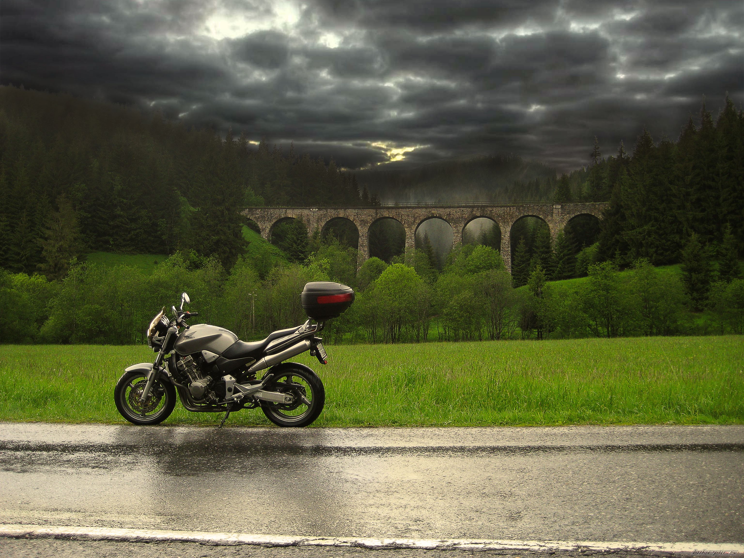 2003 HONDA CB 900 | Picture 2565734 motorcycle photo