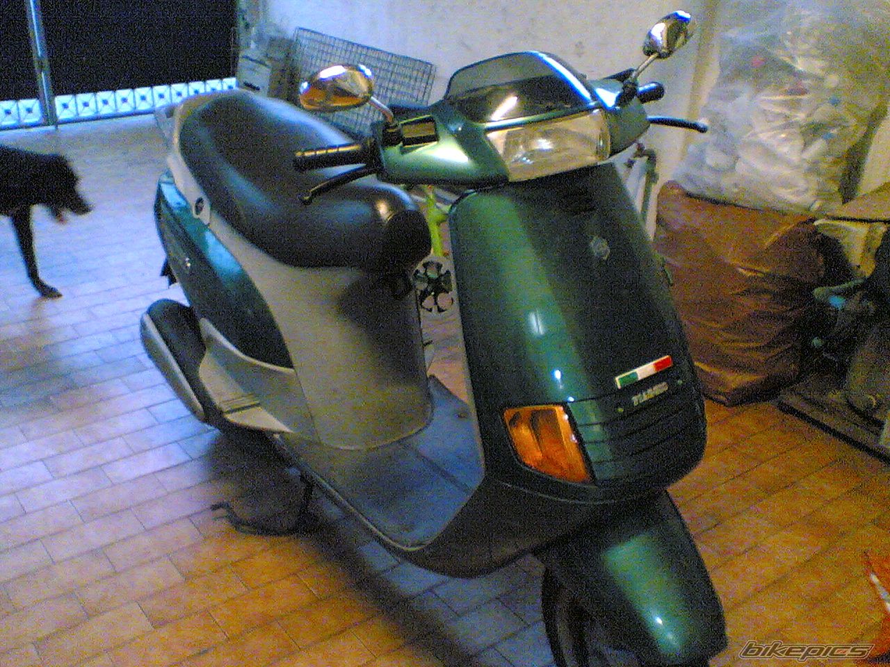1999 PIAGGIO SKIPPER150 | Picture 2566462 motorcycle photo