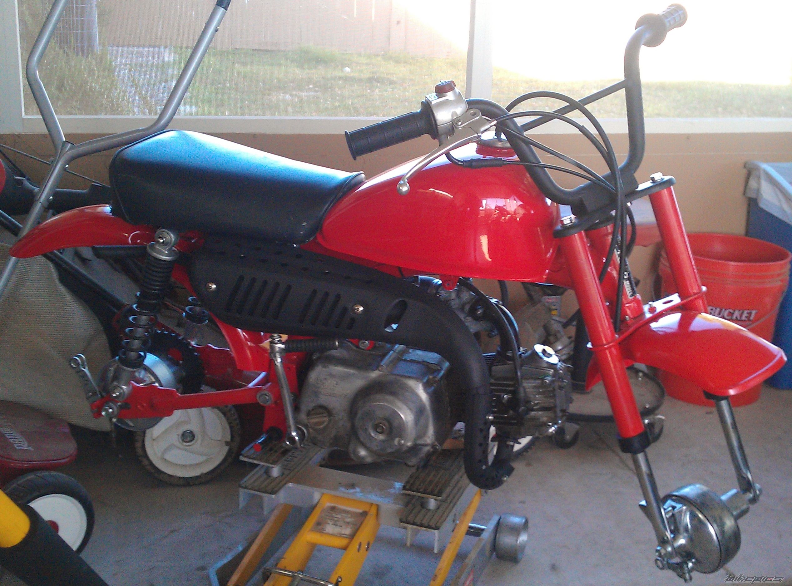 1980 HONDA Z 50 | Picture 2570364 motorcycle photo