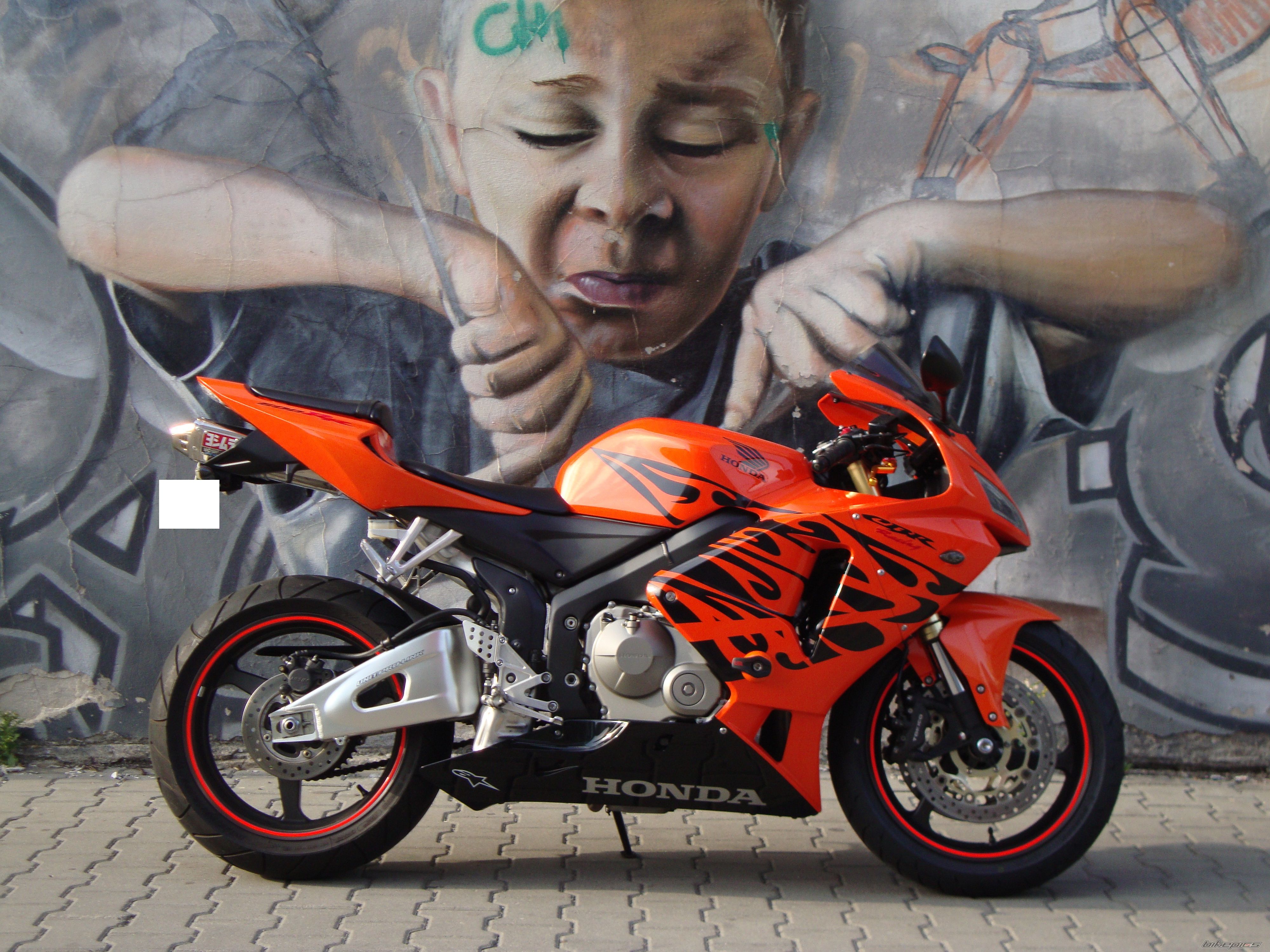 2006 HONDA CBR 600 RR | Picture 2570549 motorcycle photo