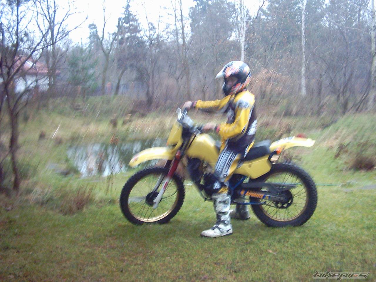 1994 SUZUKI TS 50 | Picture 257092 motorcycle photo