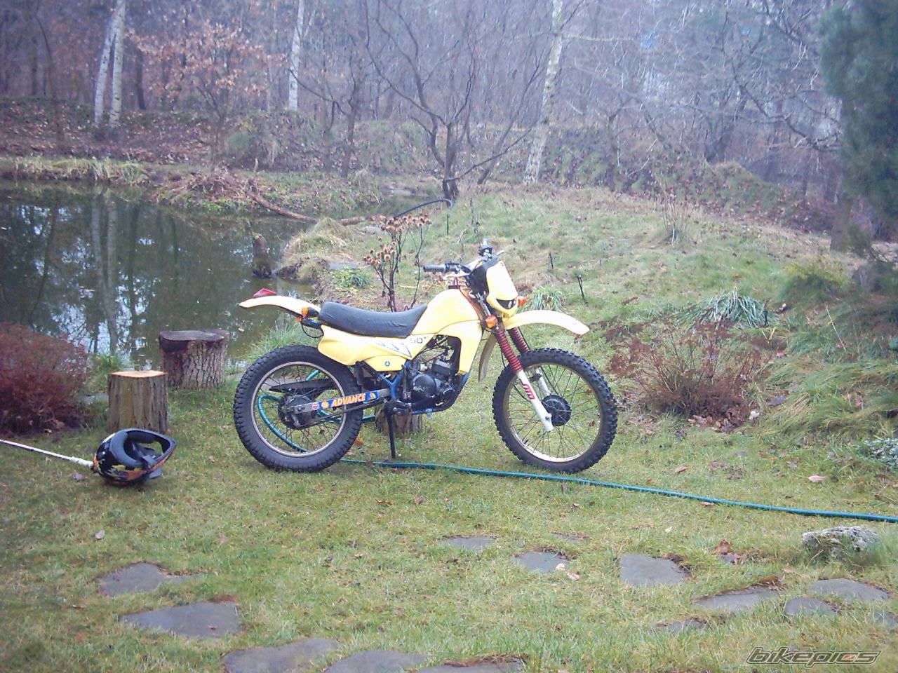 1994 SUZUKI TS 50 | Picture 257116 motorcycle photo