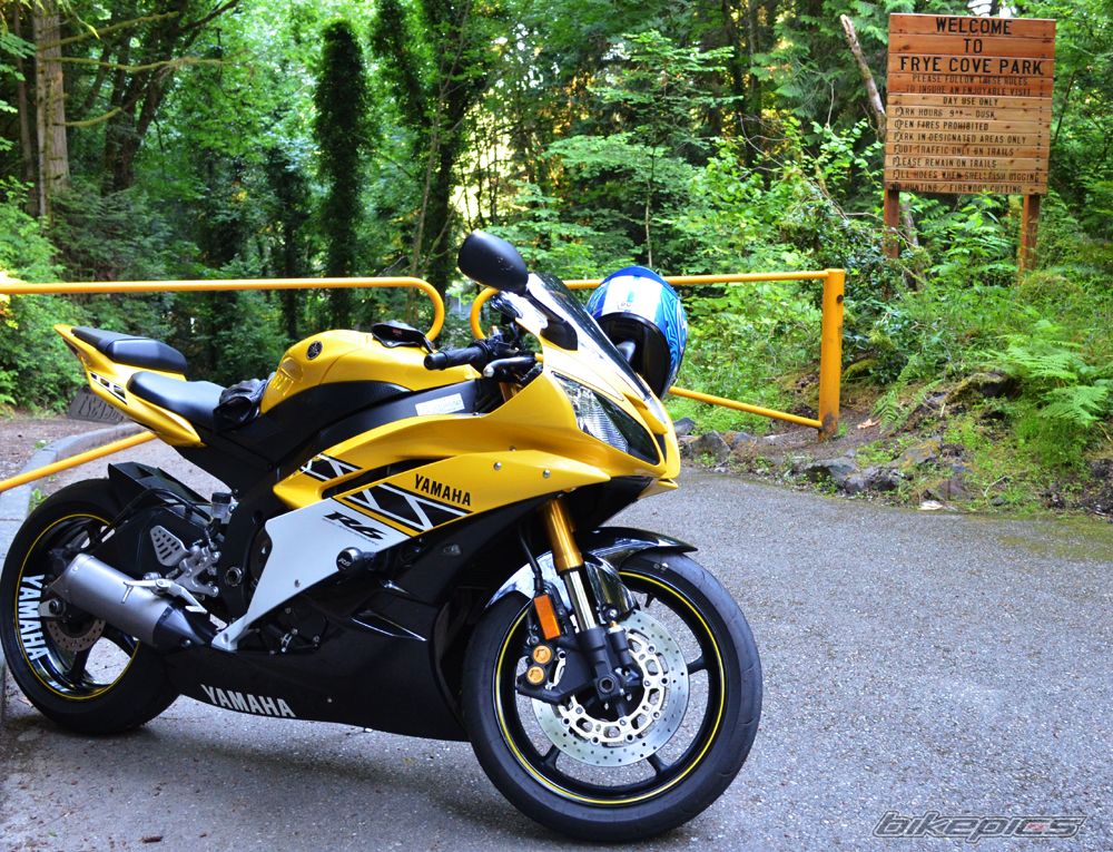 2006 YAMAHA YZF R6 | Picture 2571318 motorcycle photo