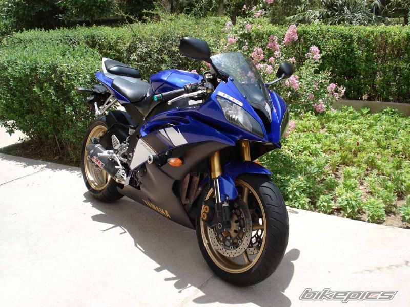 2008 YAMAHA R6 | Picture 2571376 motorcycle photo