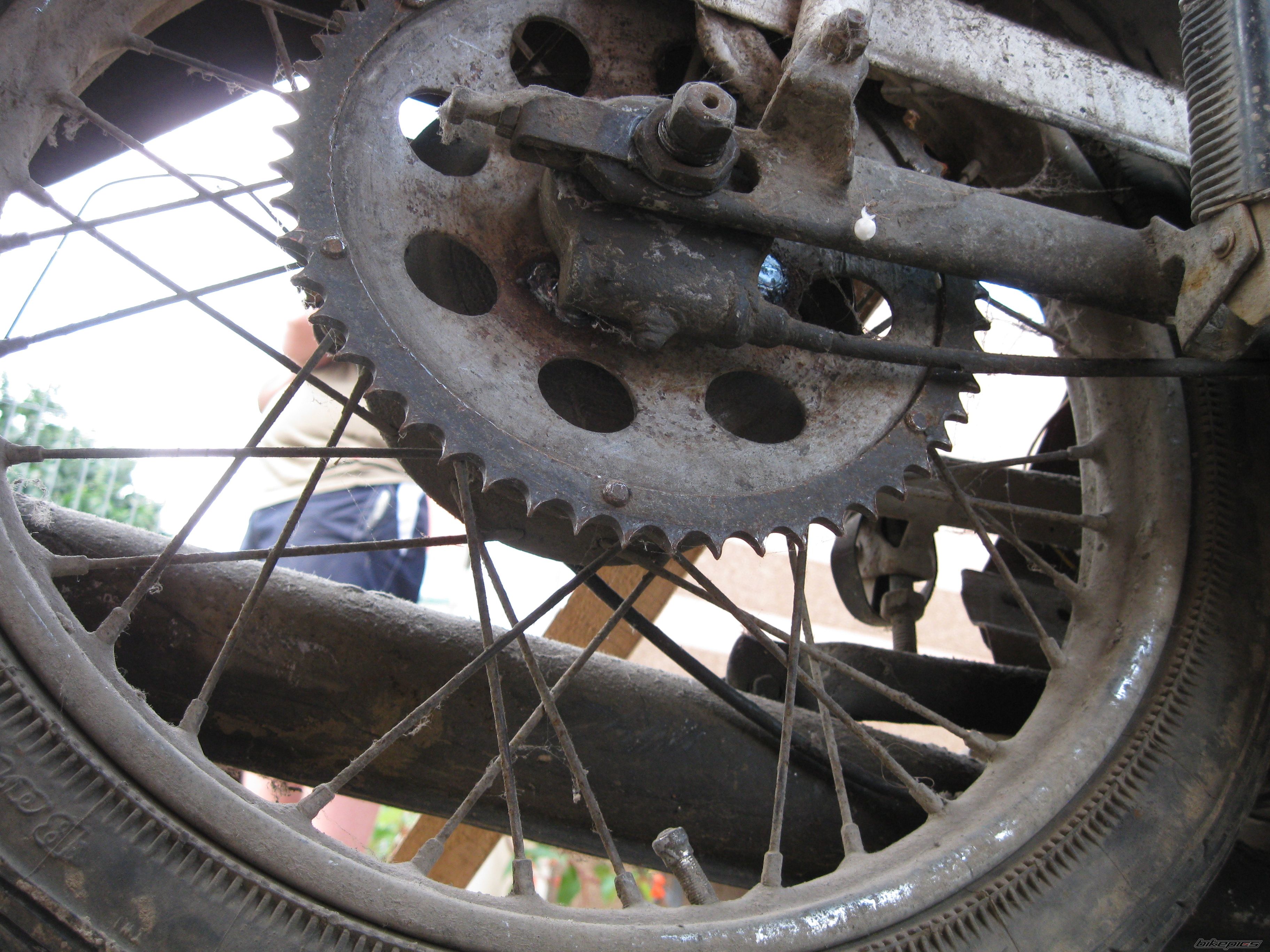 1971 JAWA 50 | Picture 2571536 motorcycle photo