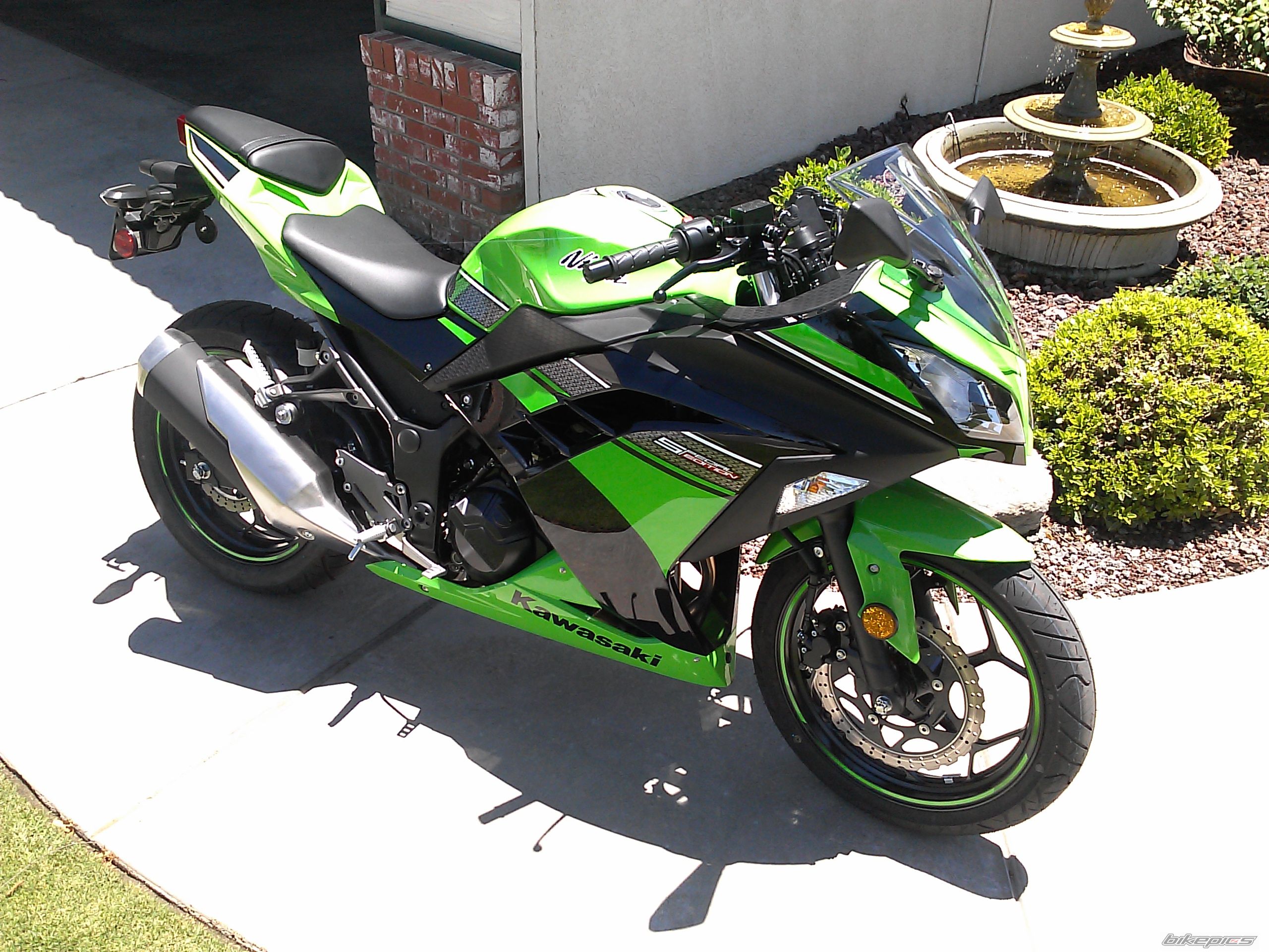 2013 KAWASAKI NINJA 300 | Picture 2572002 motorcycle photo