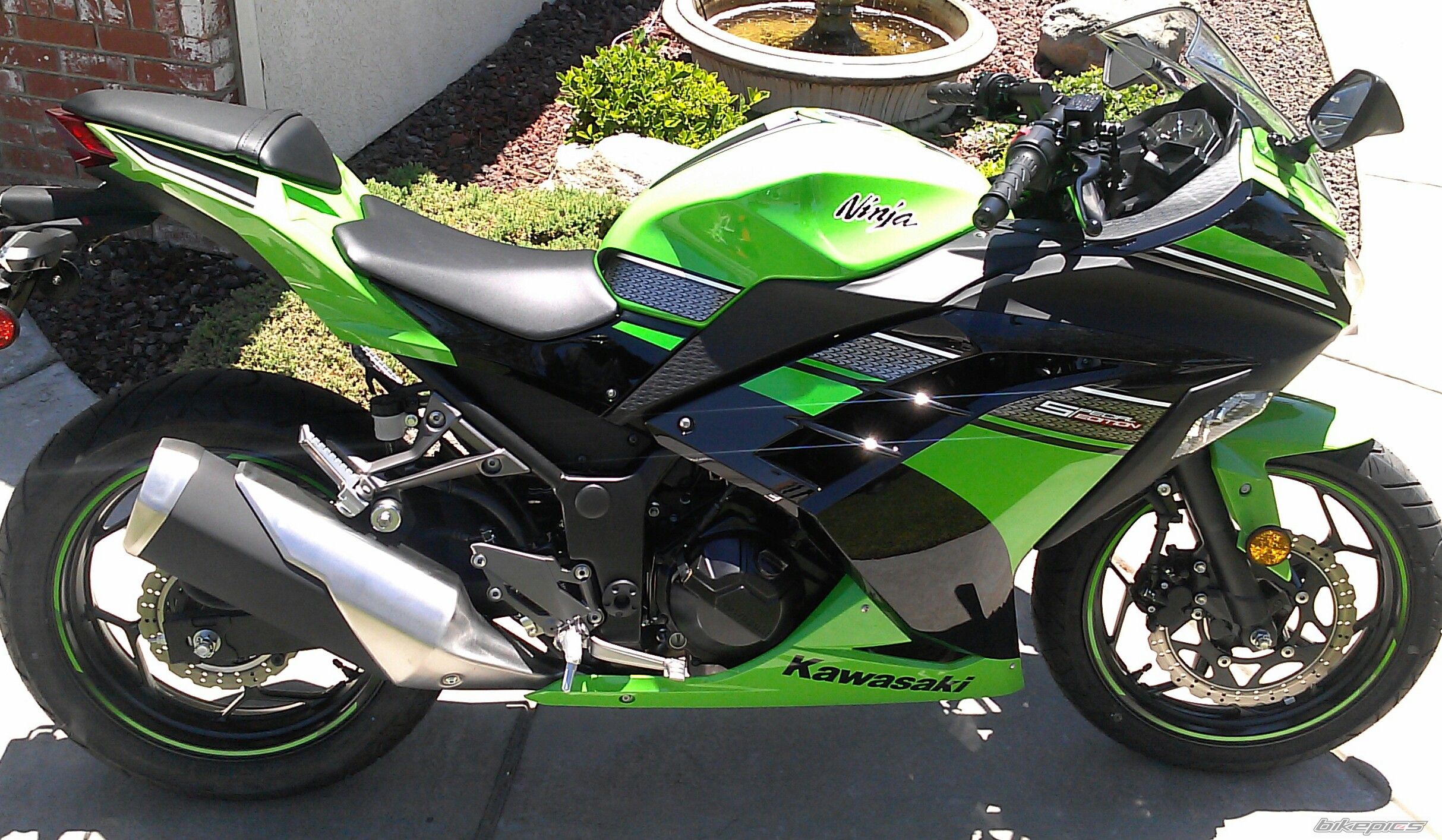 2013 KAWASAKI NINJA 300 | Picture 2572003 motorcycle photo