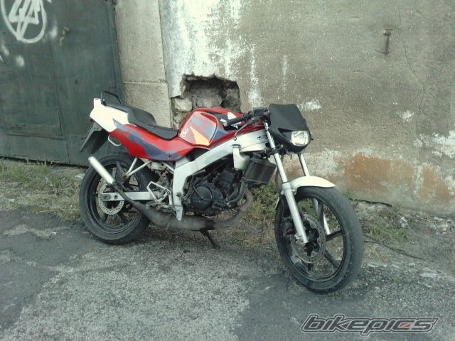 1997 HONDA NSR 50 | Picture 2572351 motorcycle photo