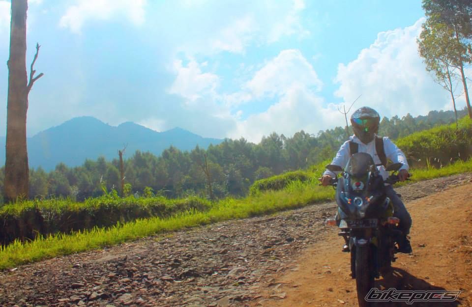 2011 BAJAJ PULSAR 220F | Picture 2573024 motorcycle photo