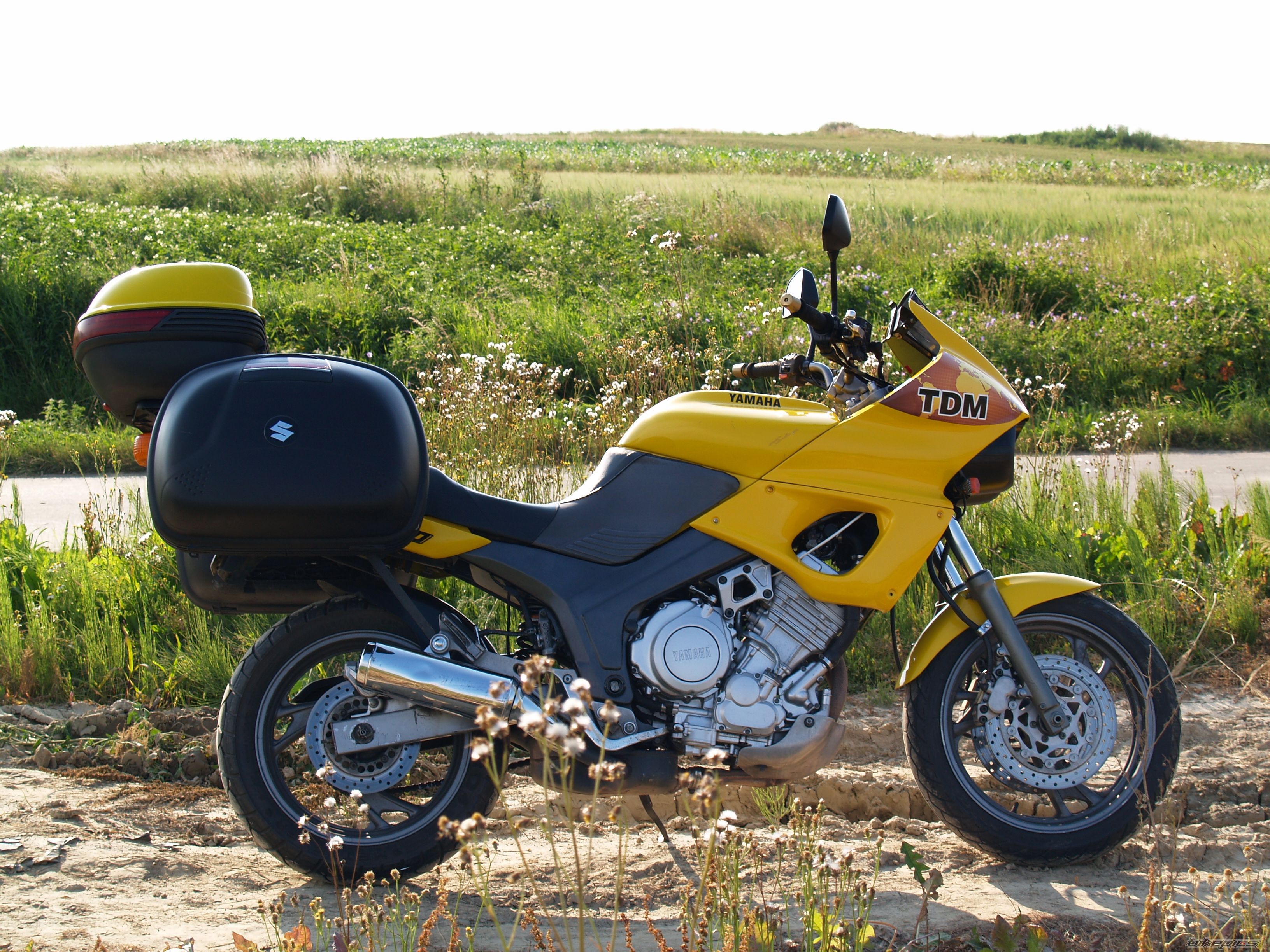 1991 YAMAHA TDM 850 | Picture 2573667 motorcycle photo