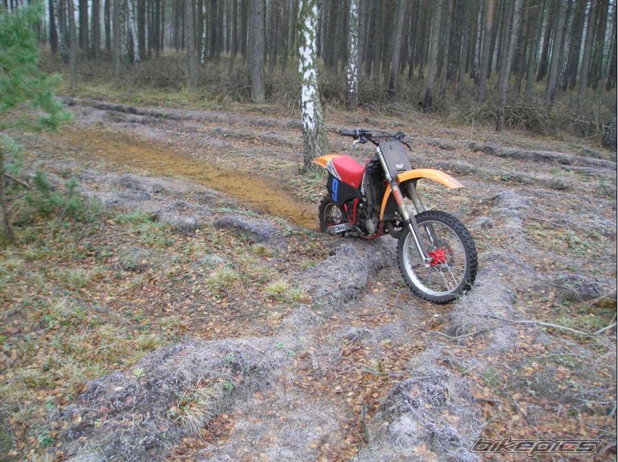 1992 KTM 125 SX | Picture 257415 motorcycle photo
