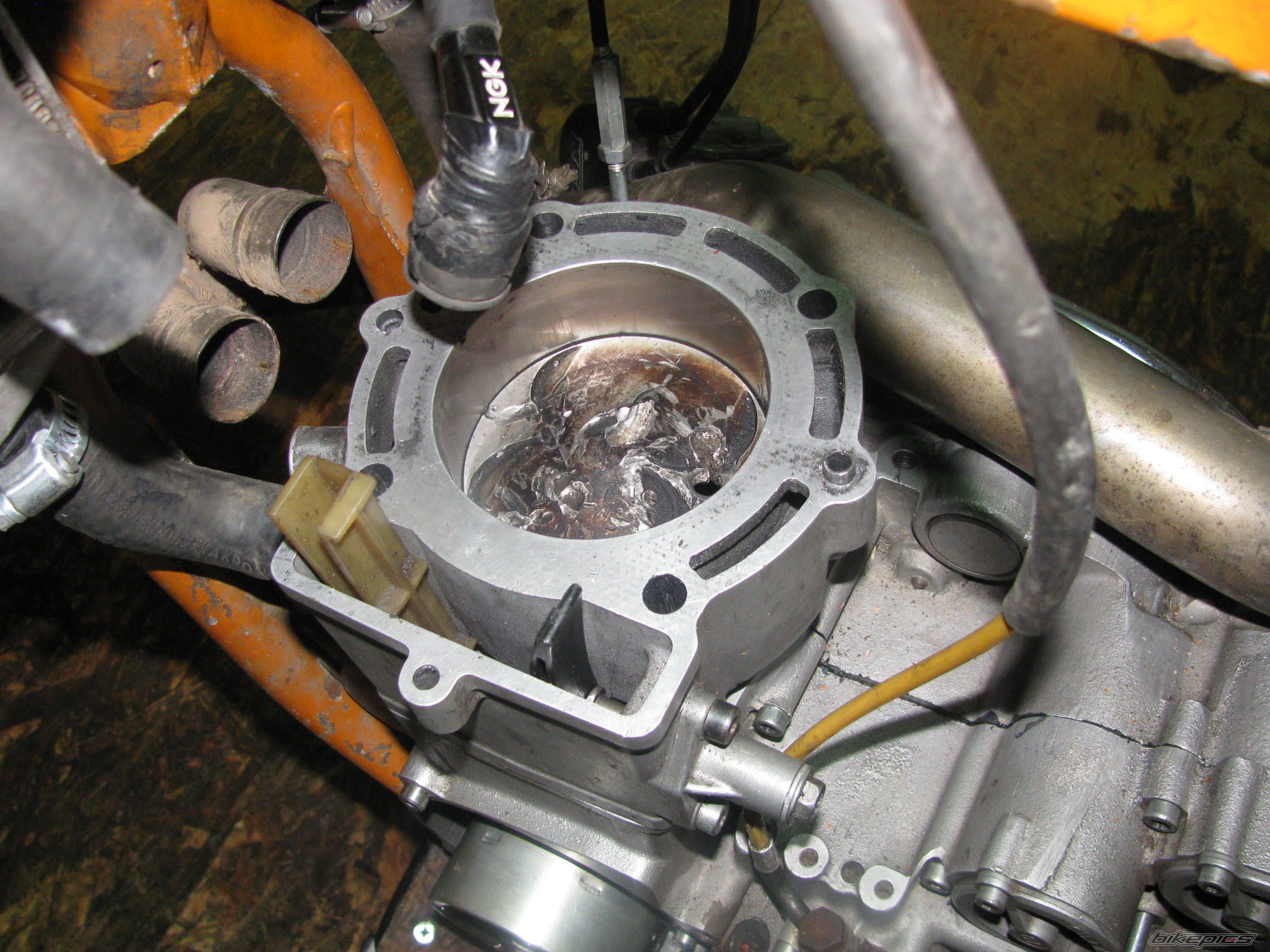 2004 KTM 450 SX | Picture 2574286 motorcycle photo