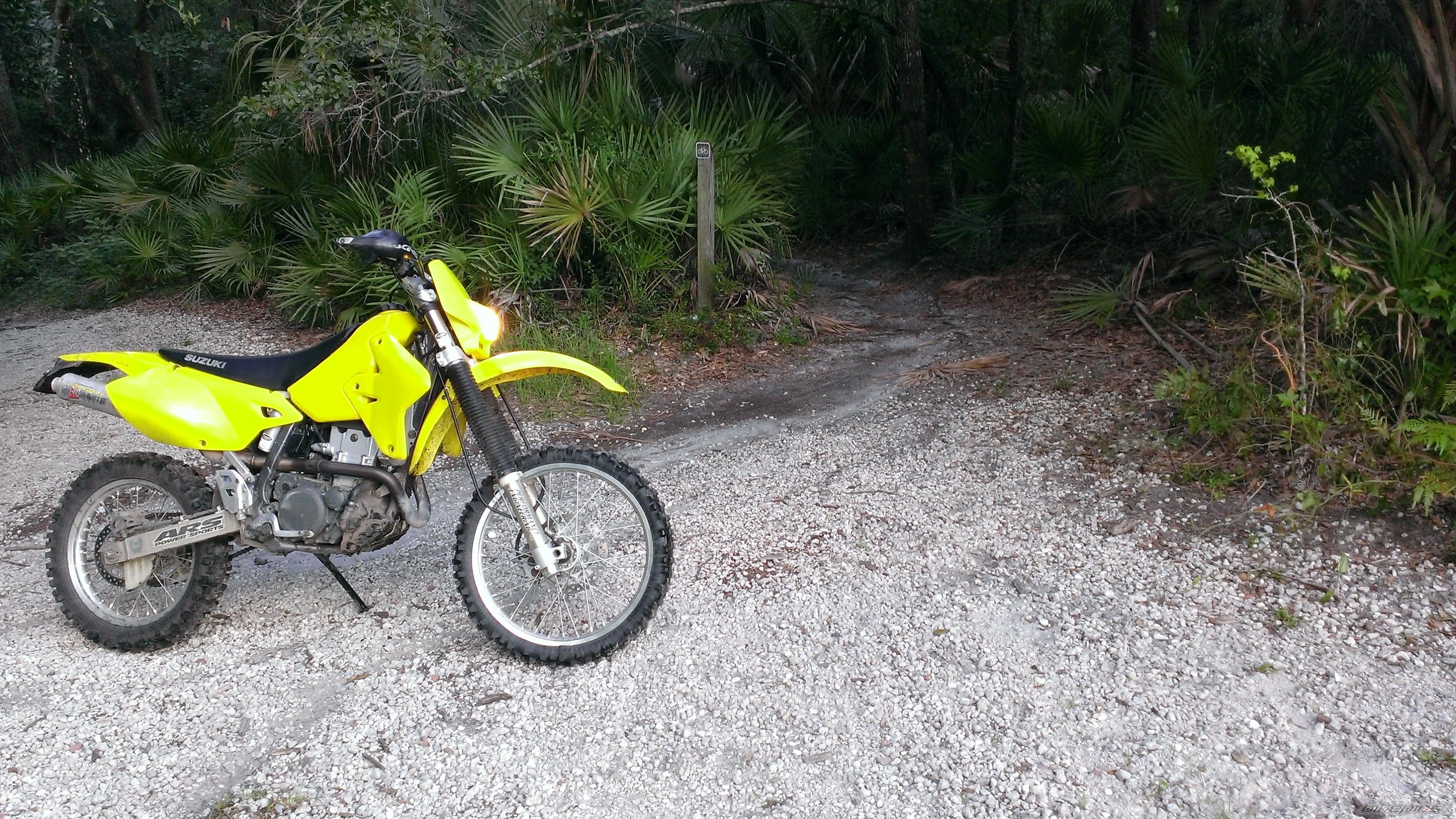 2001 SUZUKI DRZ 400 | Picture 2576381 motorcycle photo