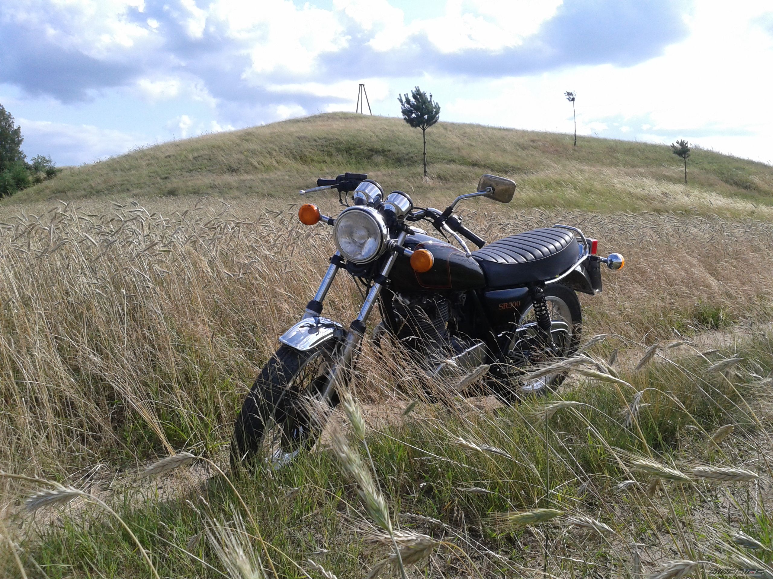1984 YAMAHA SR 500 | Picture 2577258 motorcycle photo
