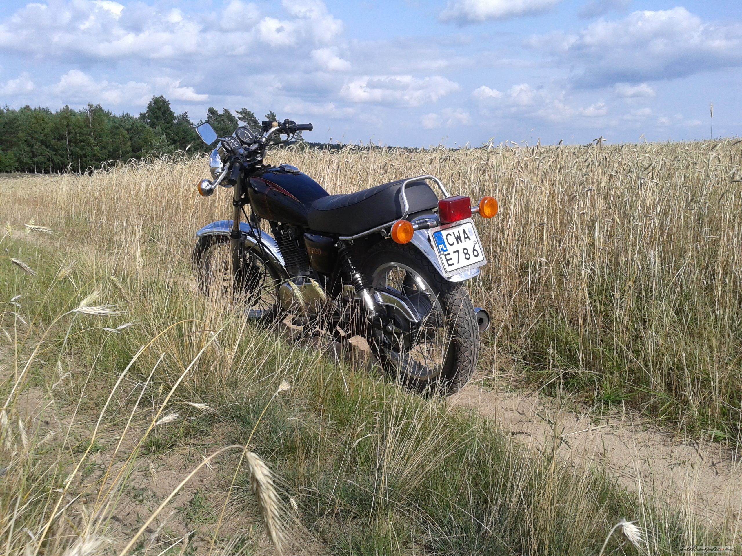 1984 YAMAHA SR 500 | Picture 2577259 motorcycle photo