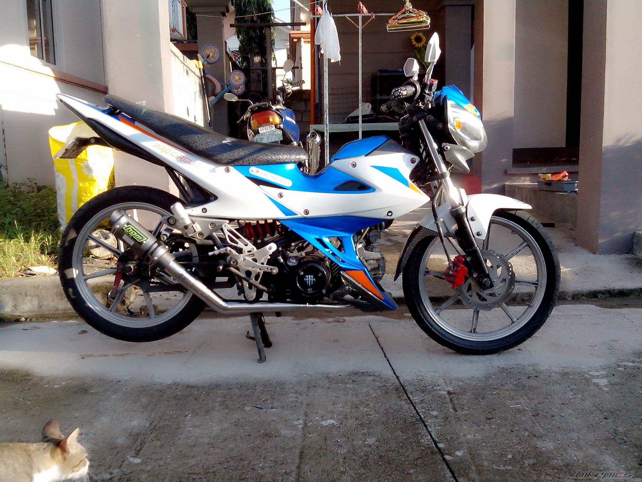 2011 KAWASAKI FURY 125 | Picture 2577390 motorcycle photo