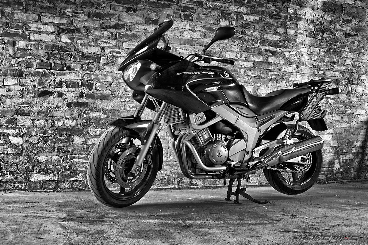 2003 YAMAHA TDM 900 | Picture 2577543 motorcycle photo
