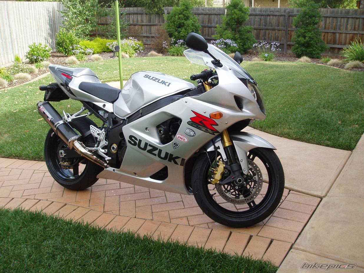 2003 SUZUKI GSX R 1000 | Picture 257781 motorcycle photo