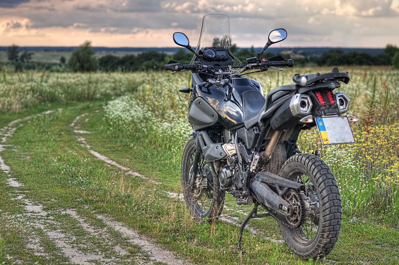 2009 YAMAHA XT660Z T%C3%A9N%C3%A9R%C3%A9 | Picture 2578043 motorcycle photo