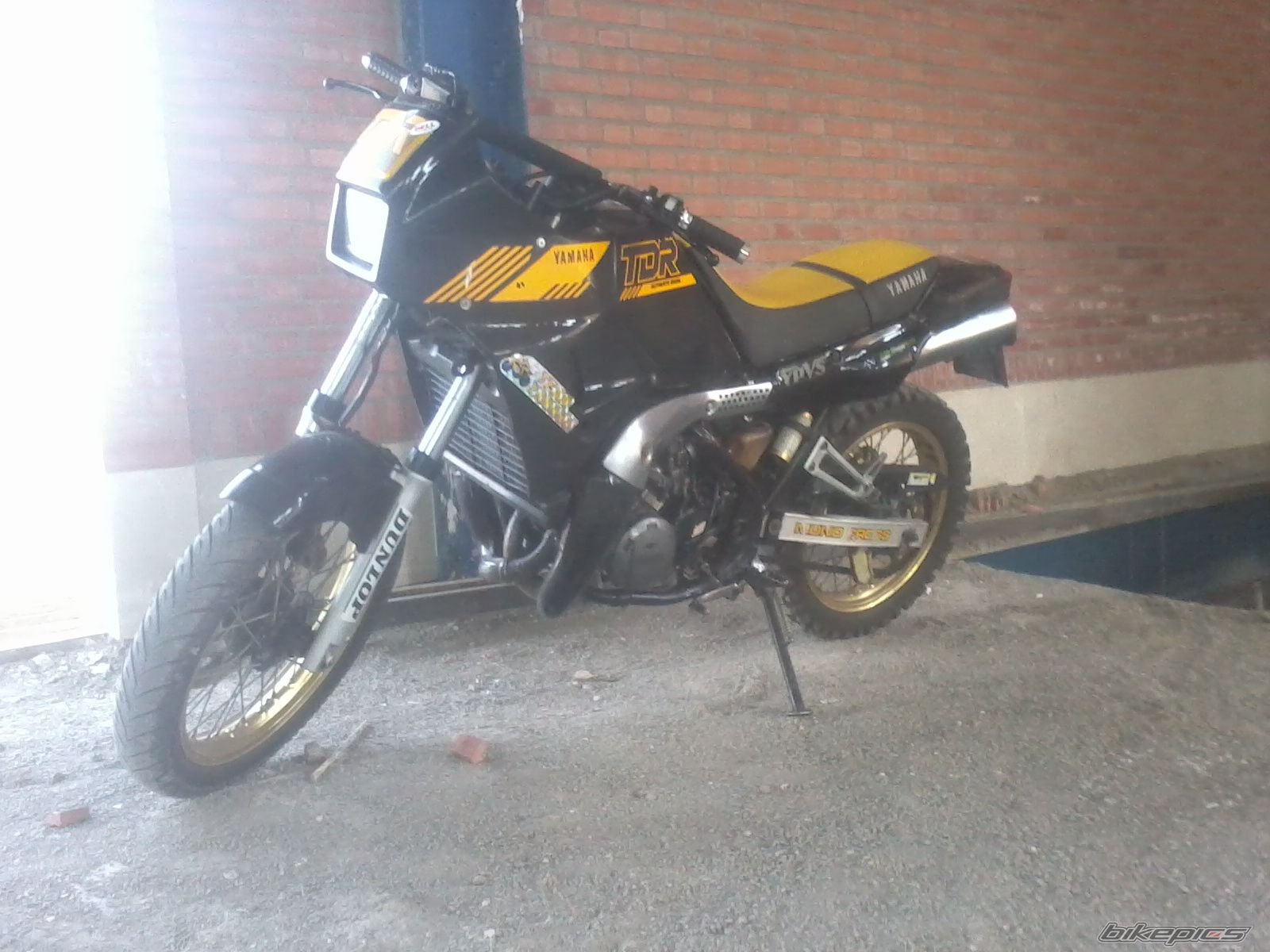 1998 YAMAHA TDR 250 | Picture 2578366 motorcycle photo