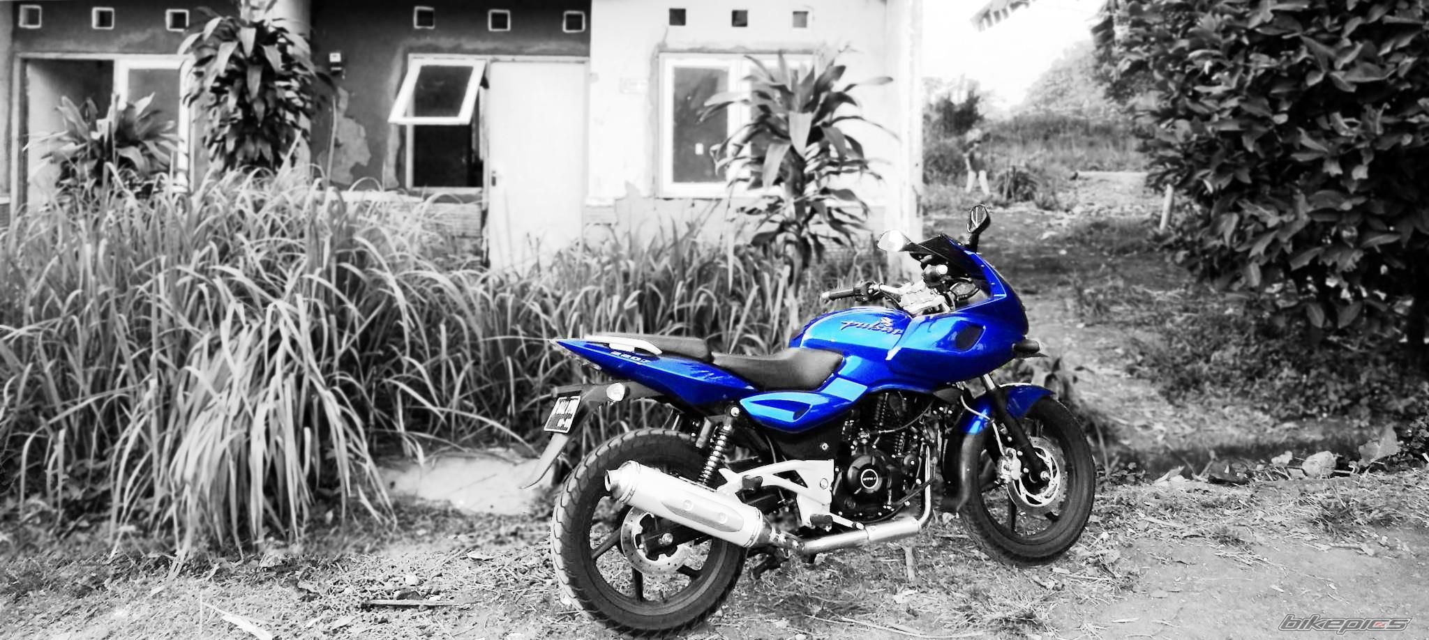 2012 BAJAJ PULSAR 220F | Picture 2579413 motorcycle photo