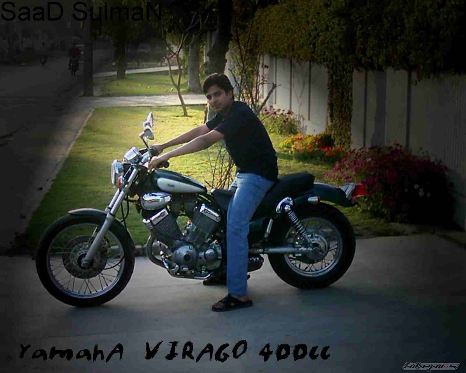2000 YAMAHA VIRAGO 500 | Picture 257995 motorcycle photo