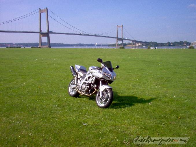 2003 SUZUKI SV 650S | Picture 258013 motorcycle photo