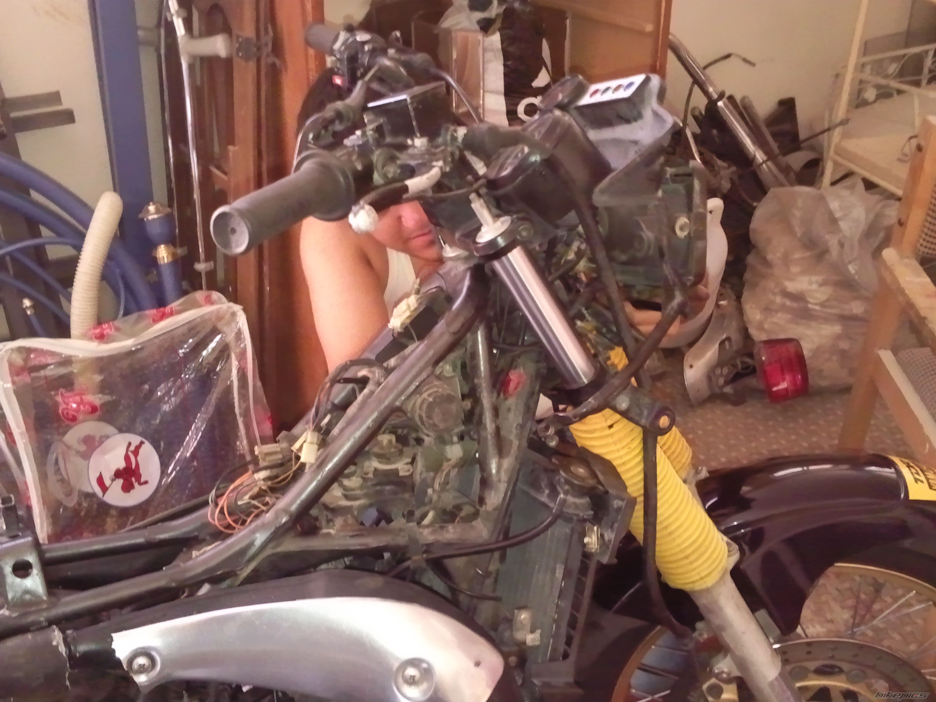 1996 YAMAHA TDR 250 | Picture 2580140 motorcycle photo