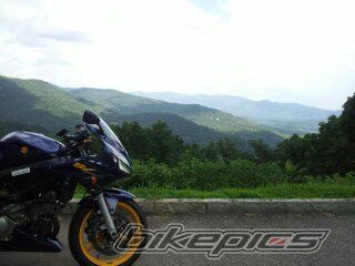 2006 SUZUKI SV 1000 S | Picture 2580145 motorcycle photo