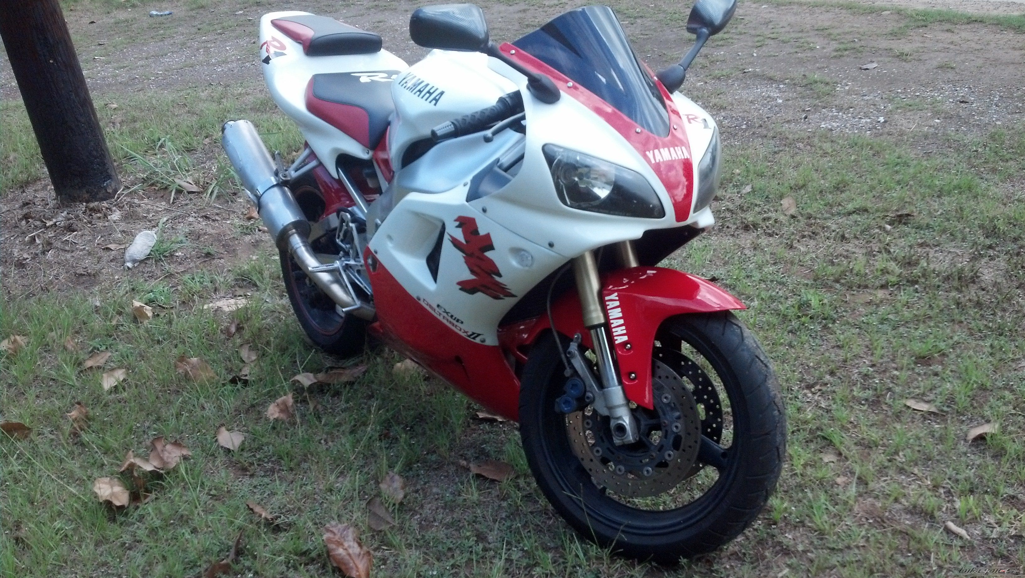1998 YAMAHA YZF R1 | Picture 2580517 motorcycle photo