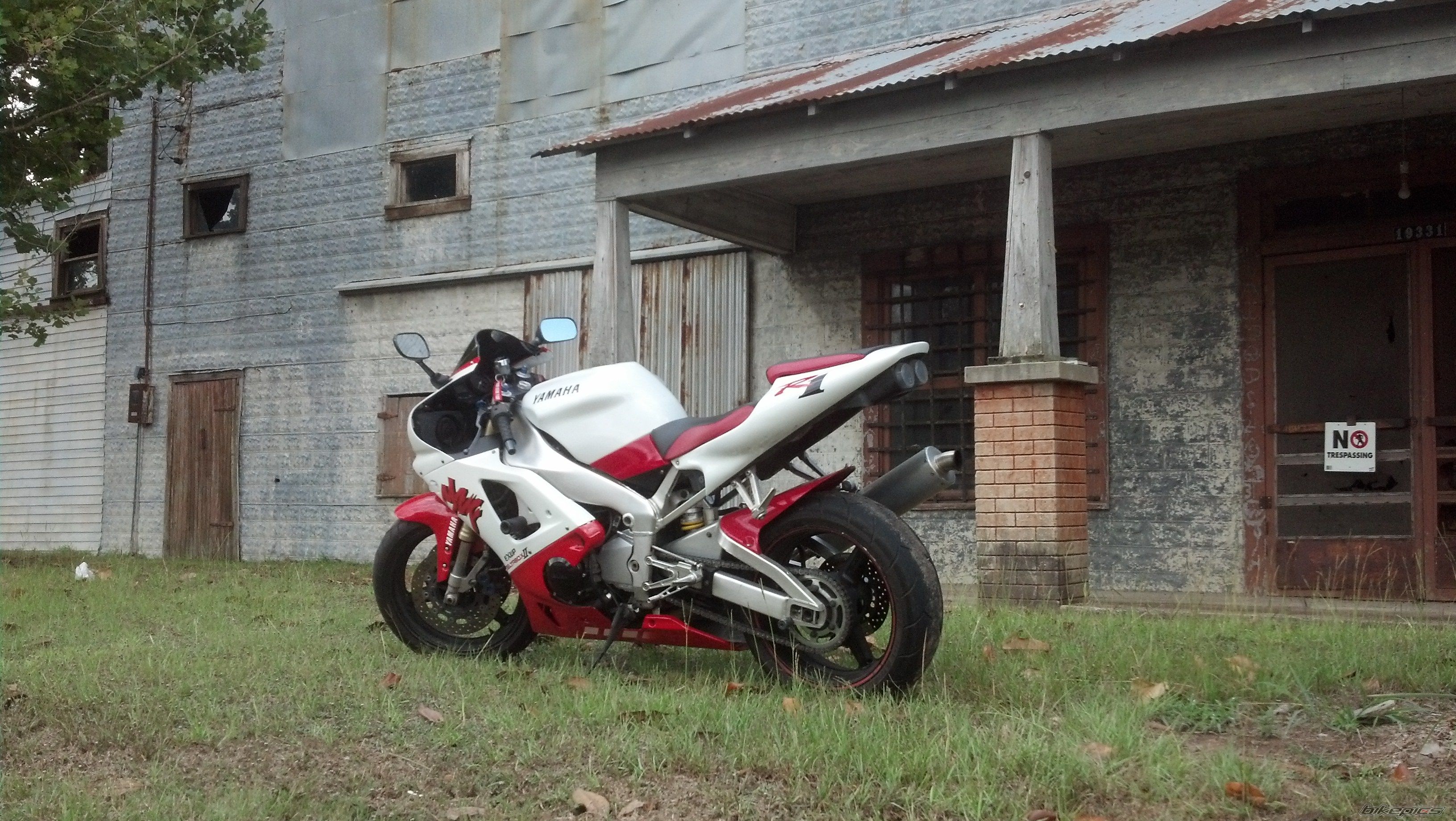 1998 YAMAHA YZF R1 | Picture 2580518 motorcycle photo
