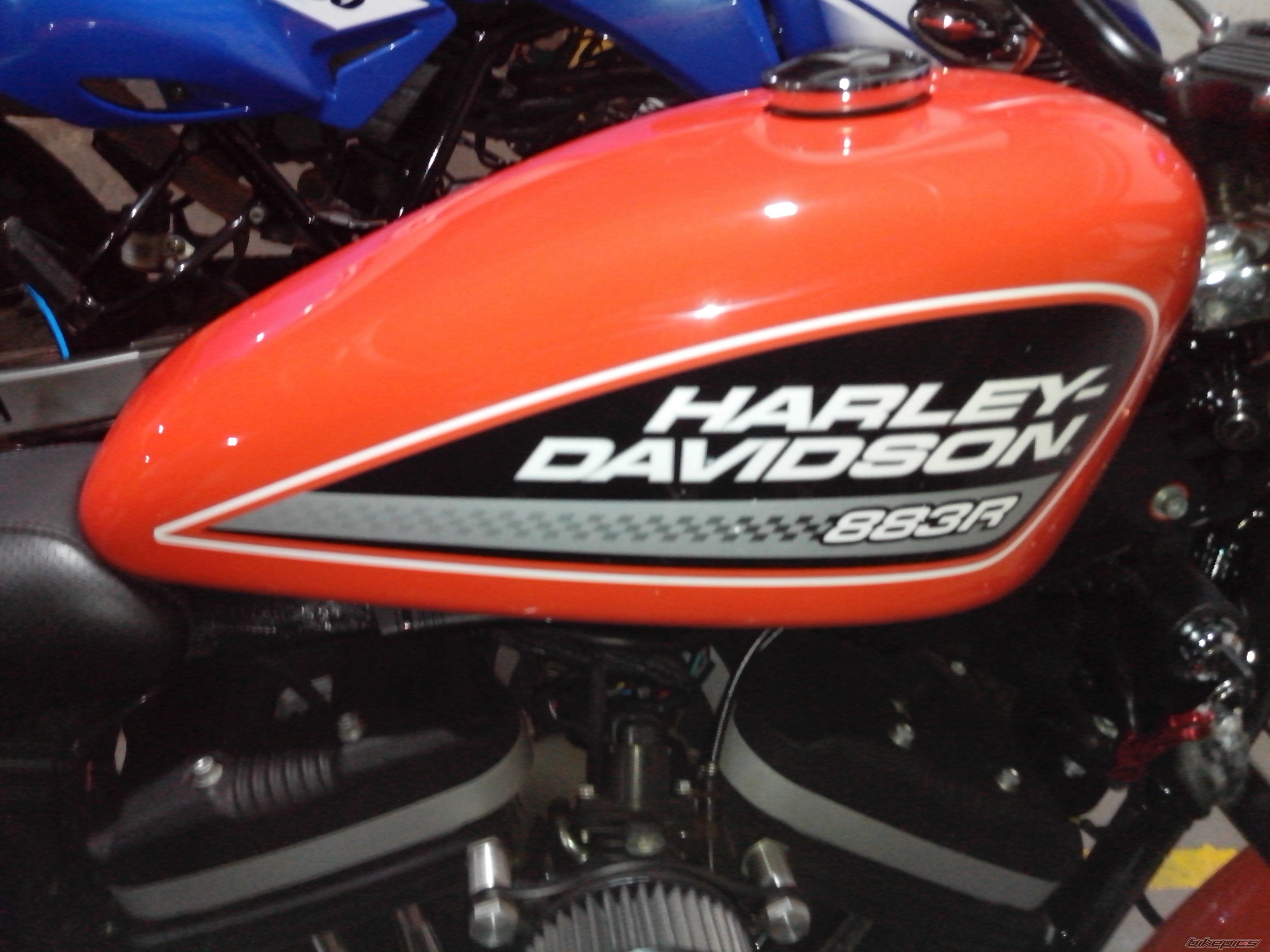 2009 HARLEY DAVIDSON XL 883R | Picture 2580593 motorcycle photo