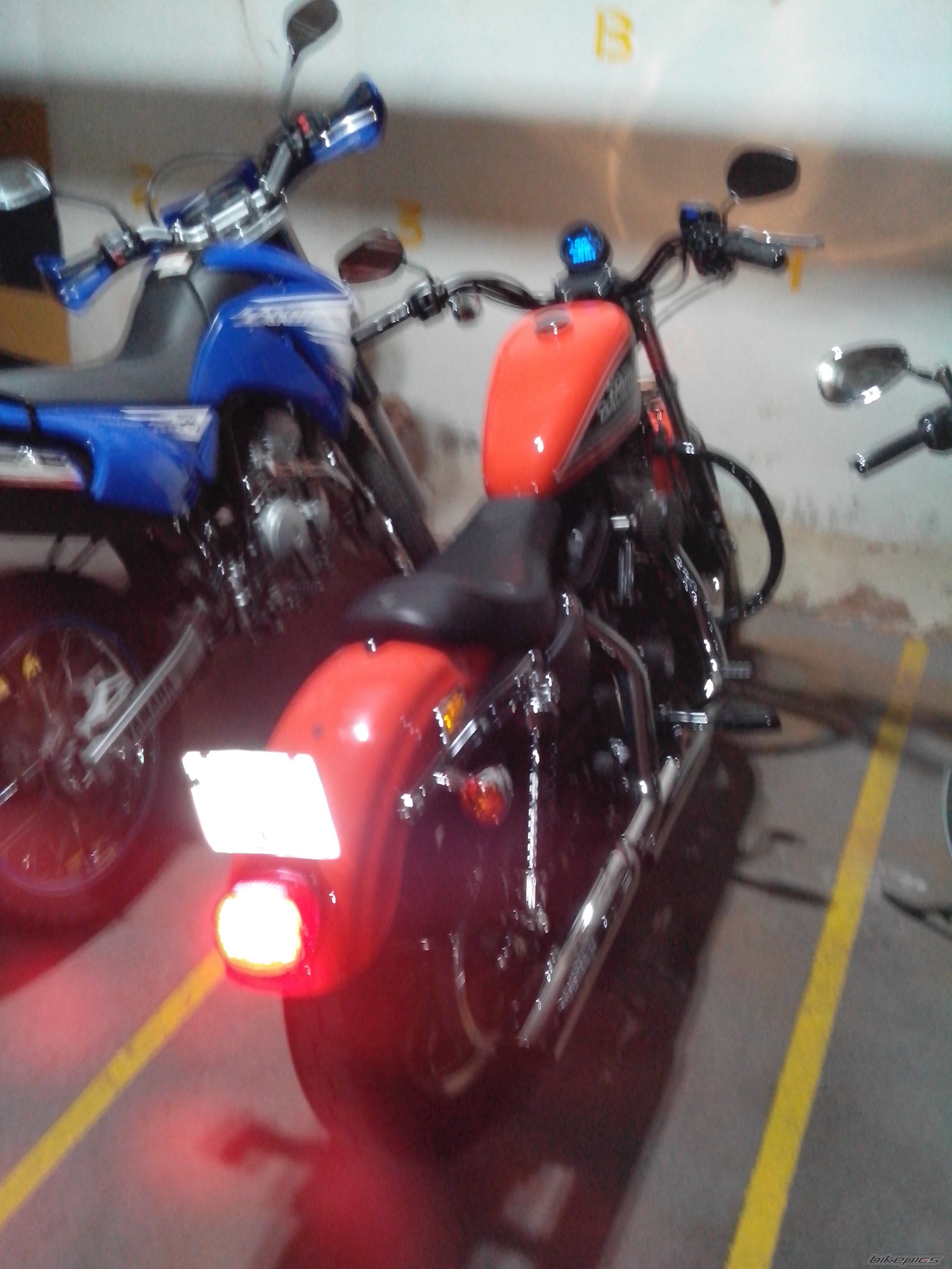 2009 HARLEY DAVIDSON XL 883R | Picture 2580595 motorcycle photo