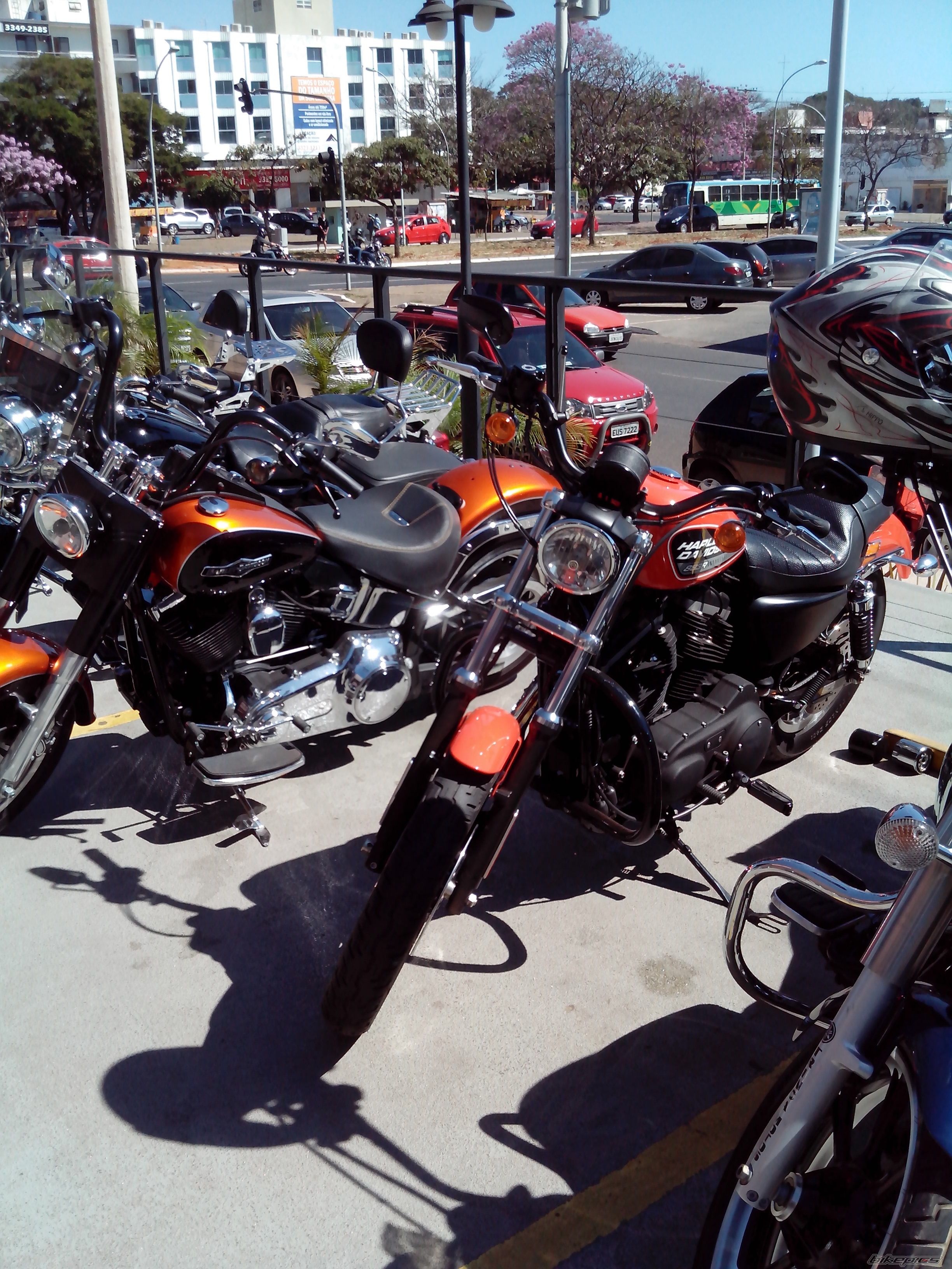 2009 HARLEY DAVIDSON XL 883R | Picture 2581782 motorcycle photo