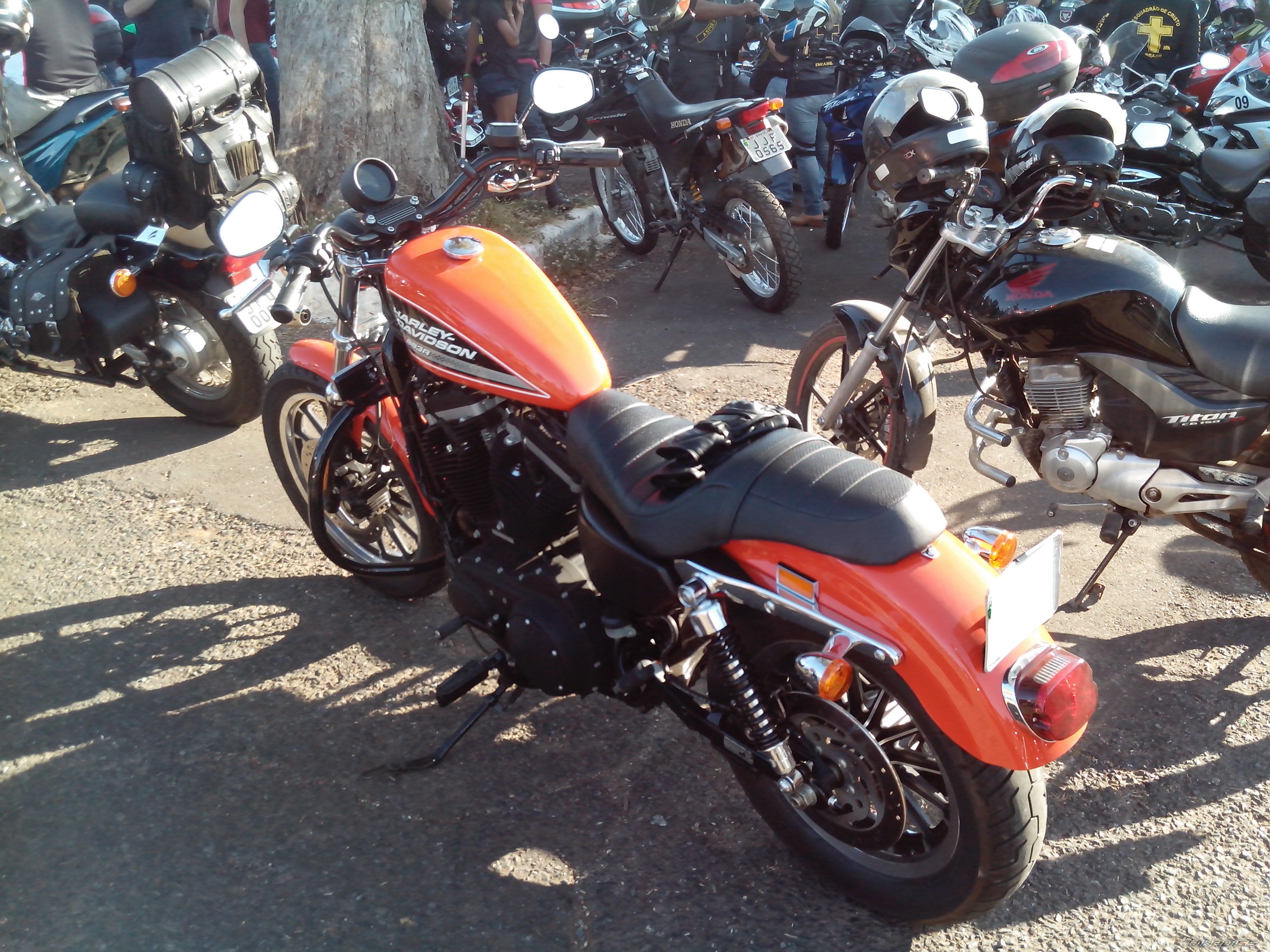 2009 HARLEY DAVIDSON XL 883R | Picture 2581783 motorcycle photo