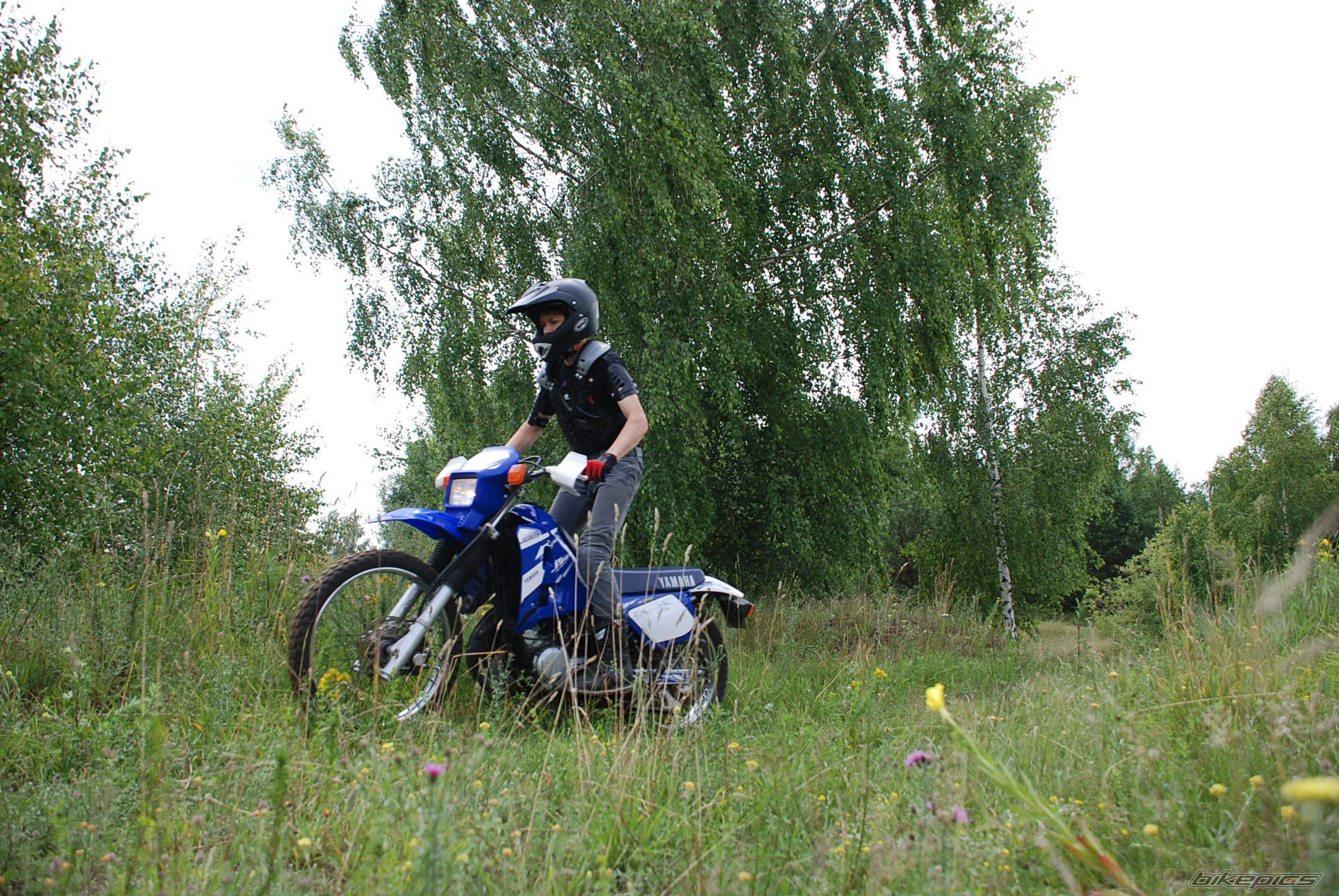 2003 YAMAHA DT 125 | Picture 2583183 motorcycle photo