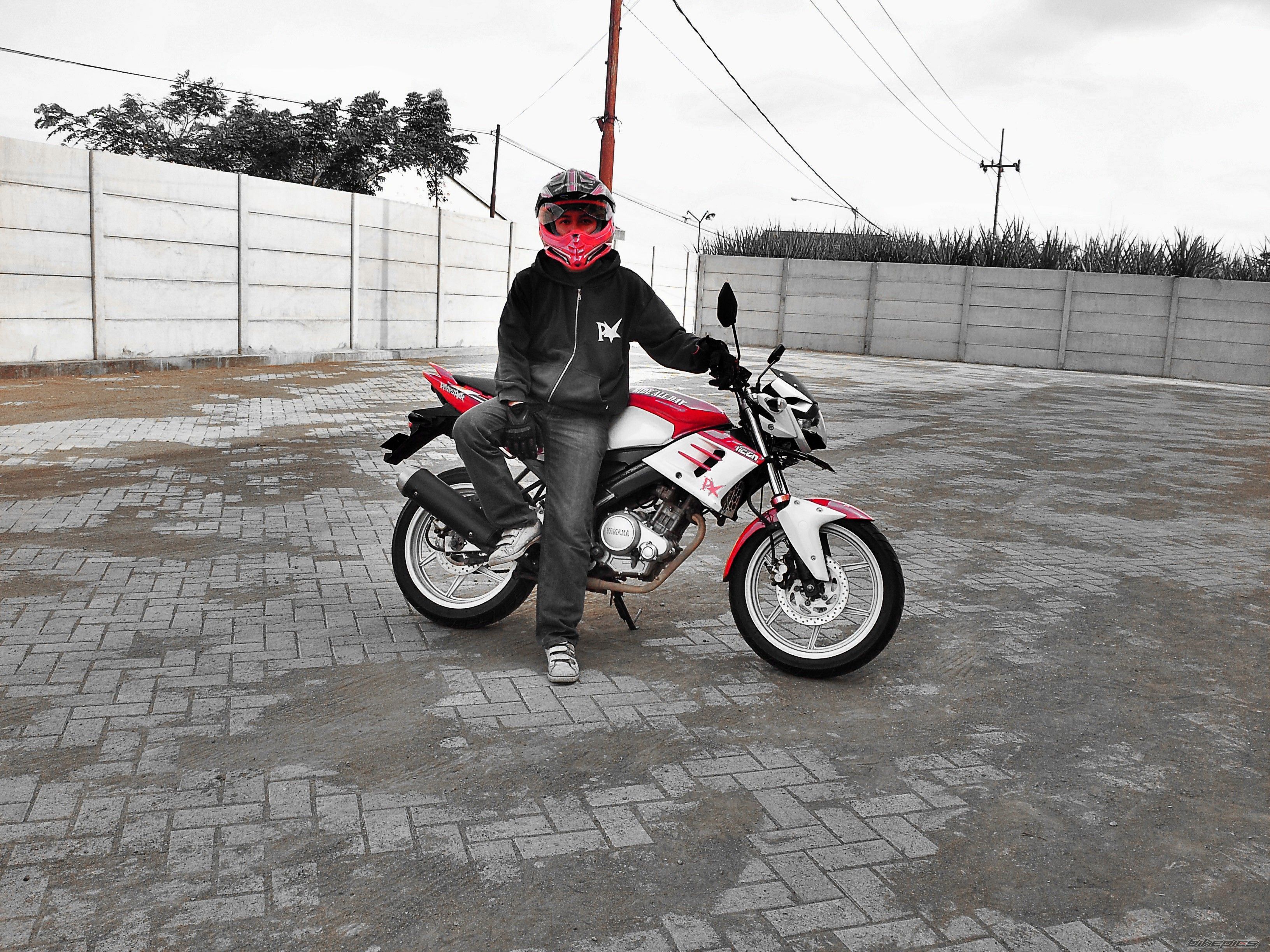 2010 YAMAHA FZ 150 | Picture 2583675 motorcycle photo