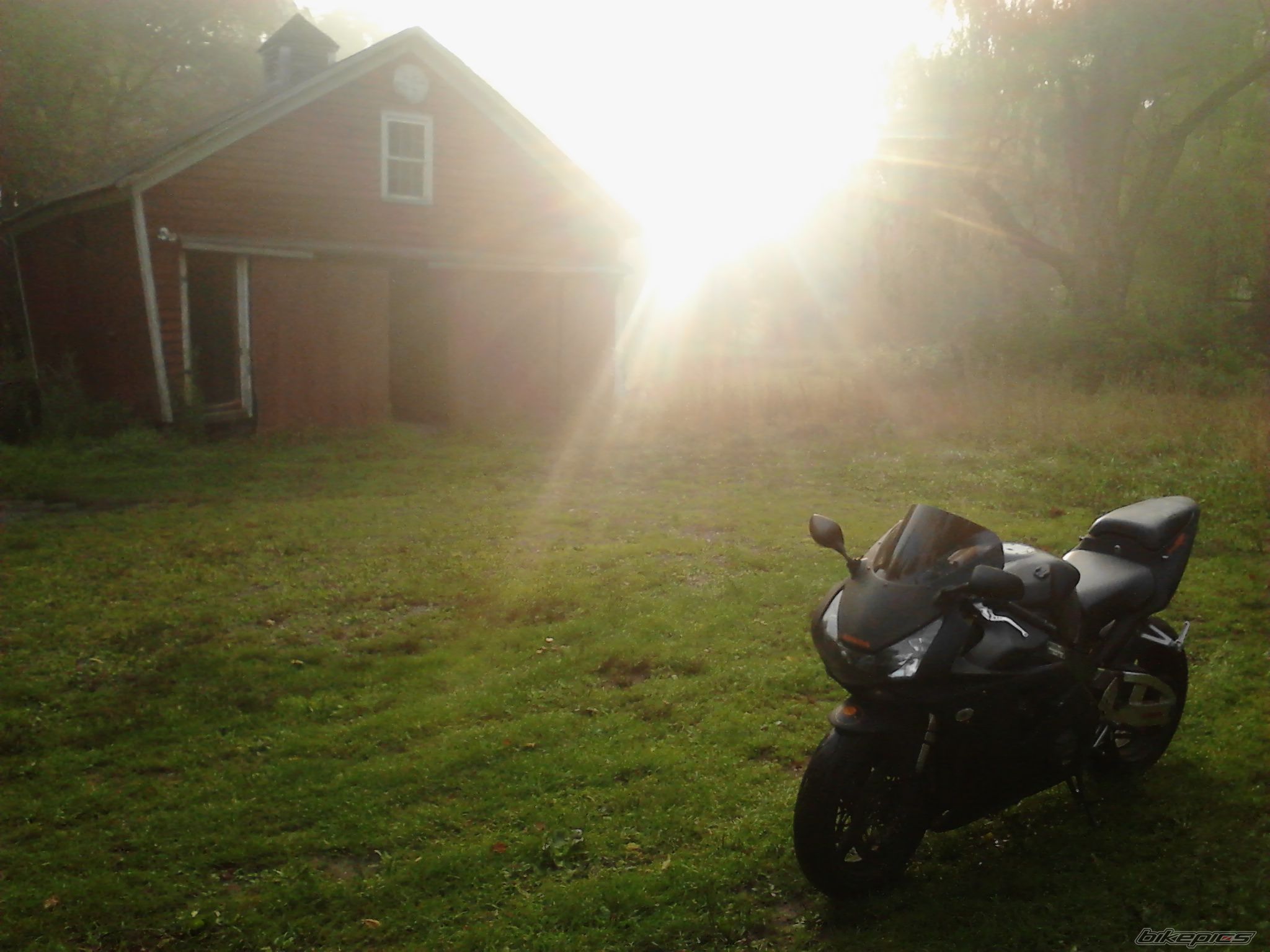 2003 HONDA CBR 954RR | Picture 2584069 motorcycle photo