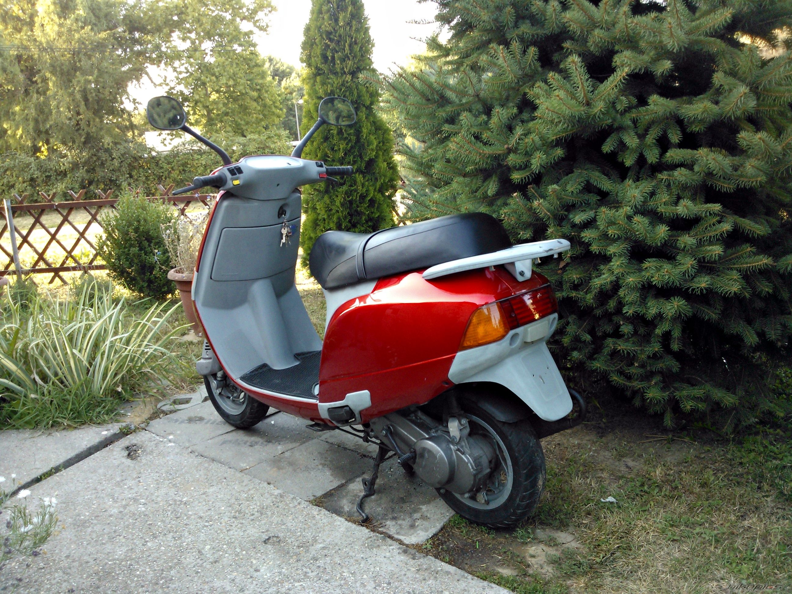 1994 PIAGGIO SFERA NSL 50 | Picture 2584285 motorcycle photo