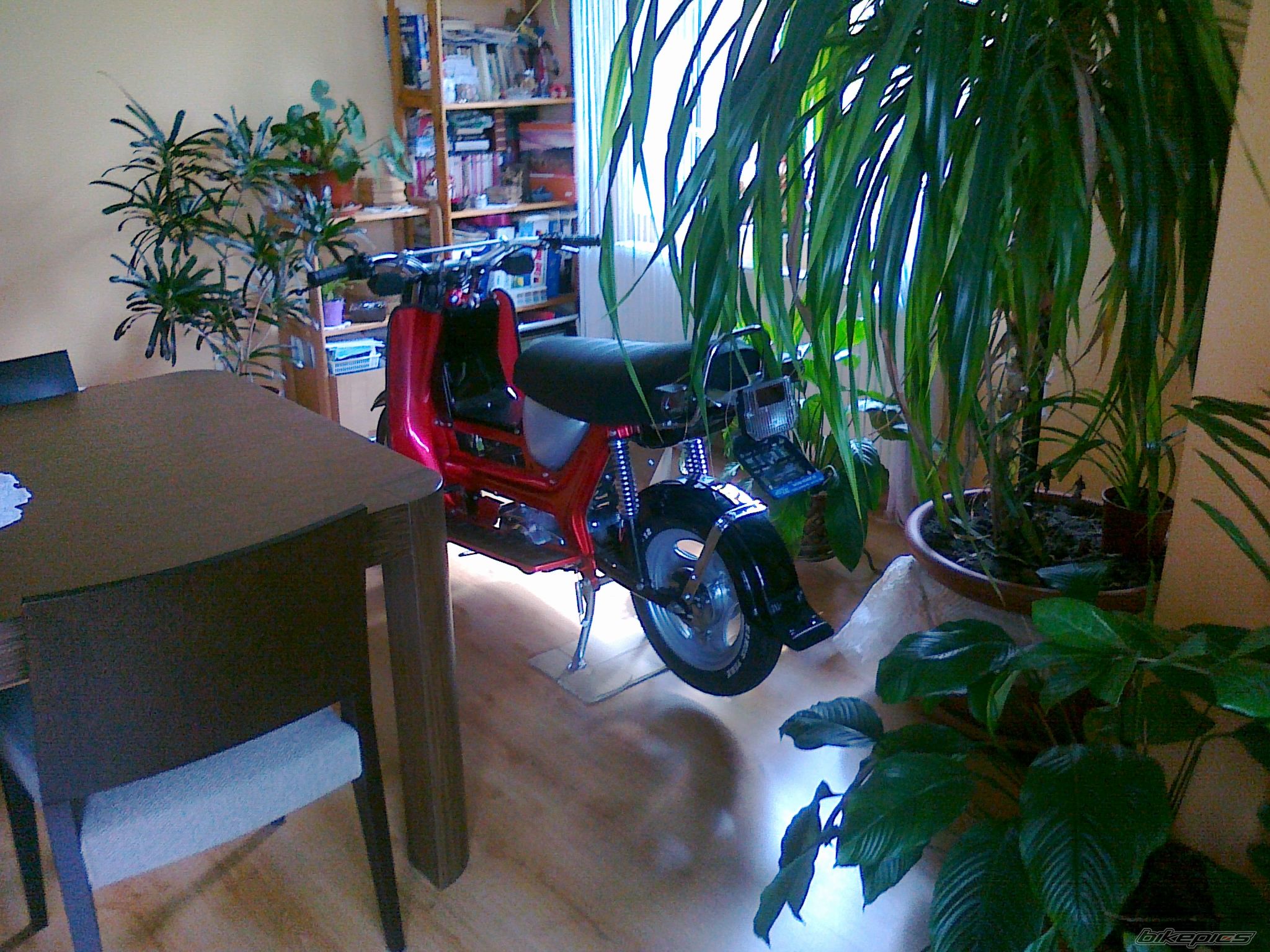1986 SIMSON SR 80 | Picture 2584591 motorcycle photo